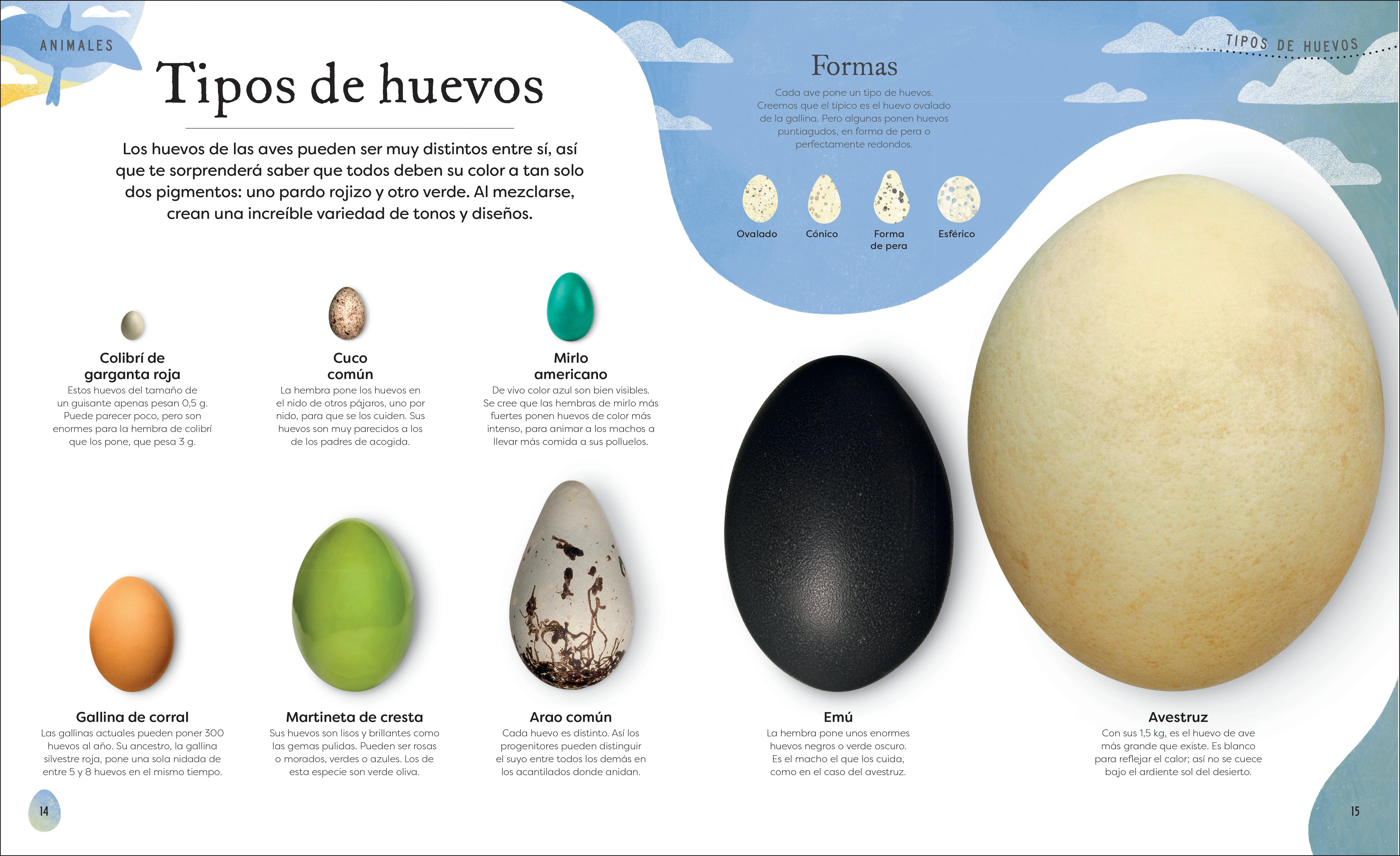 Tesoros de la naturaleza (Nature's Treasures) - Image 3