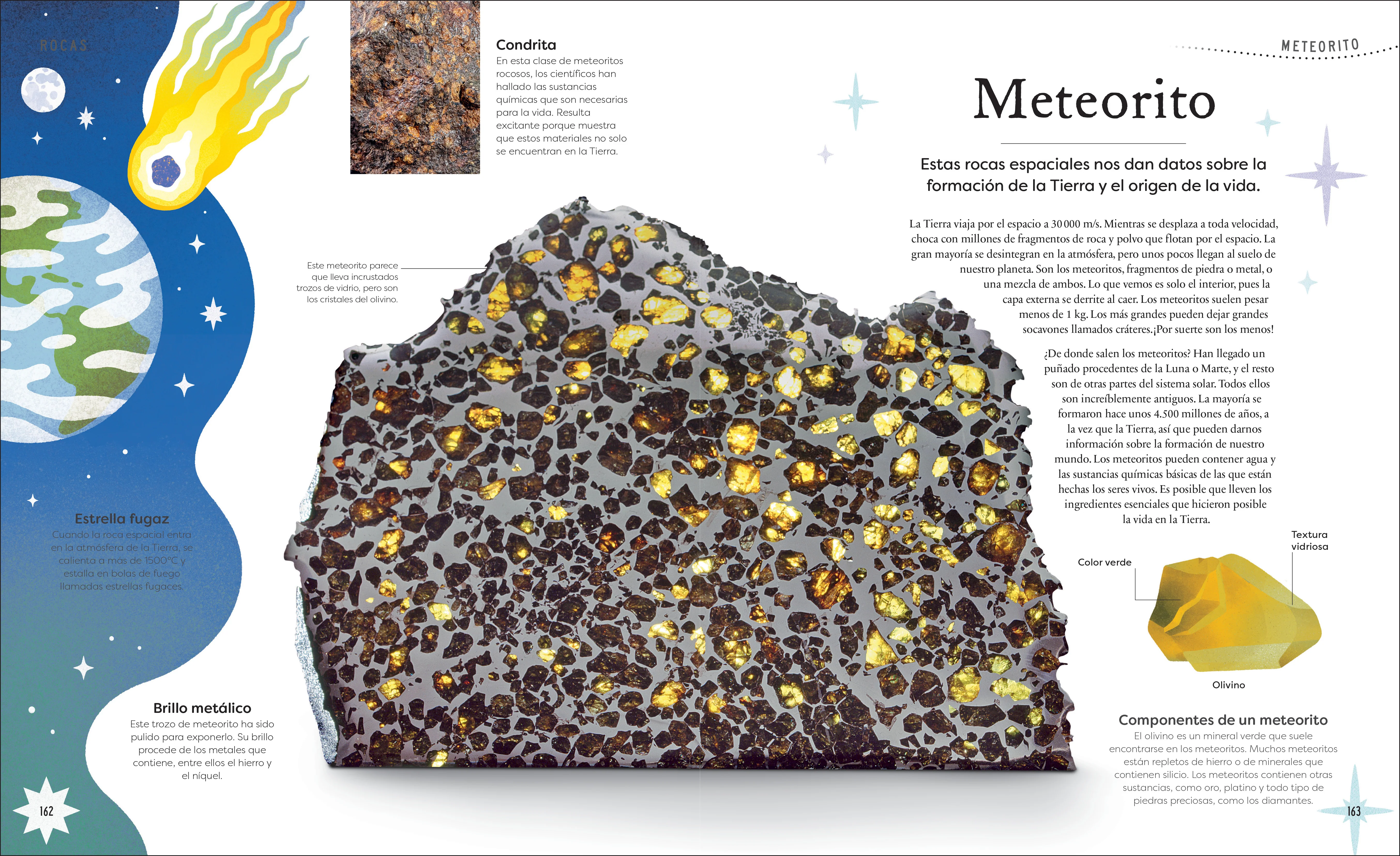 Tesoros de la naturaleza (Nature's Treasures) - Image 7