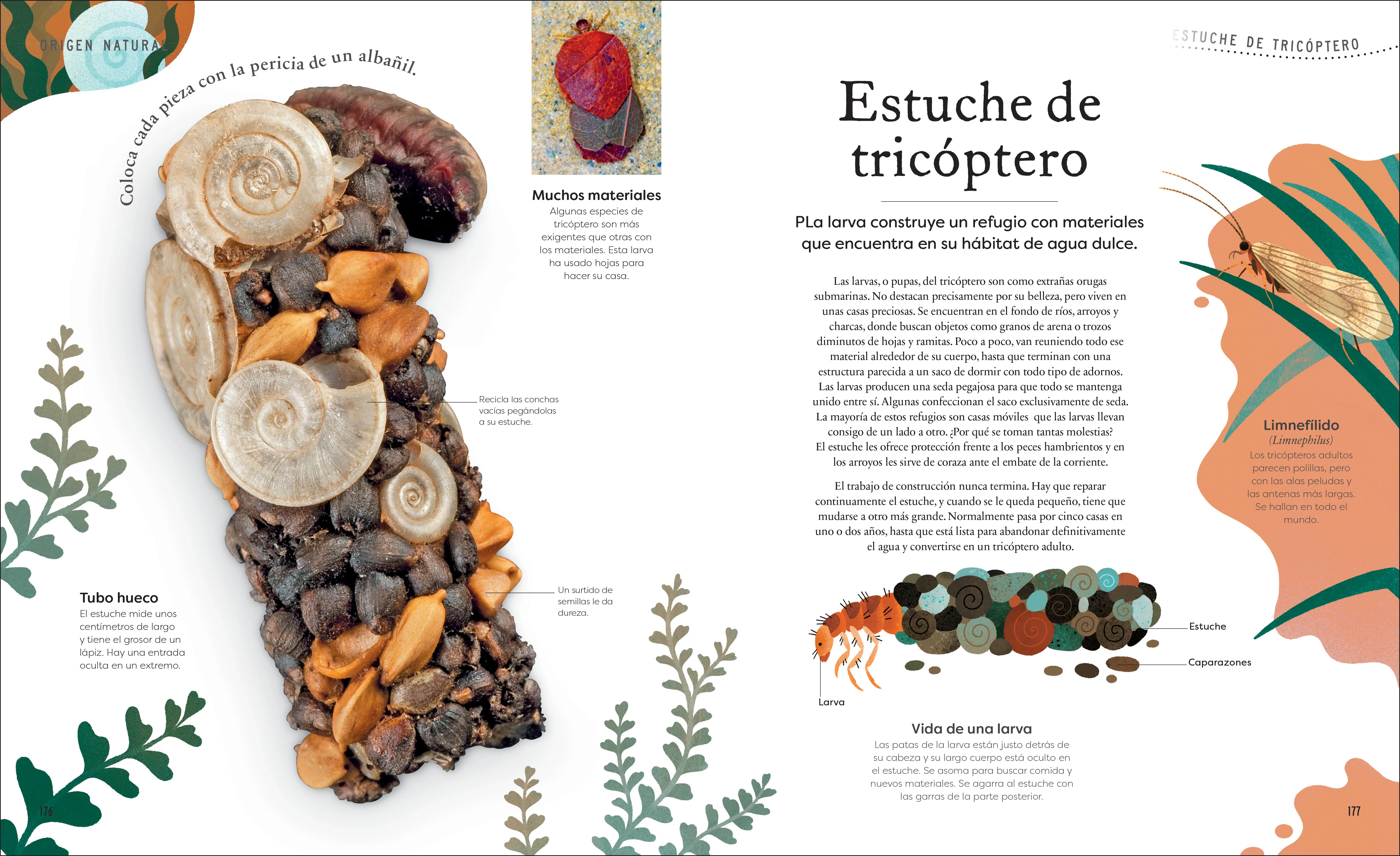 Tesoros de la naturaleza (Nature's Treasures) - Image 8