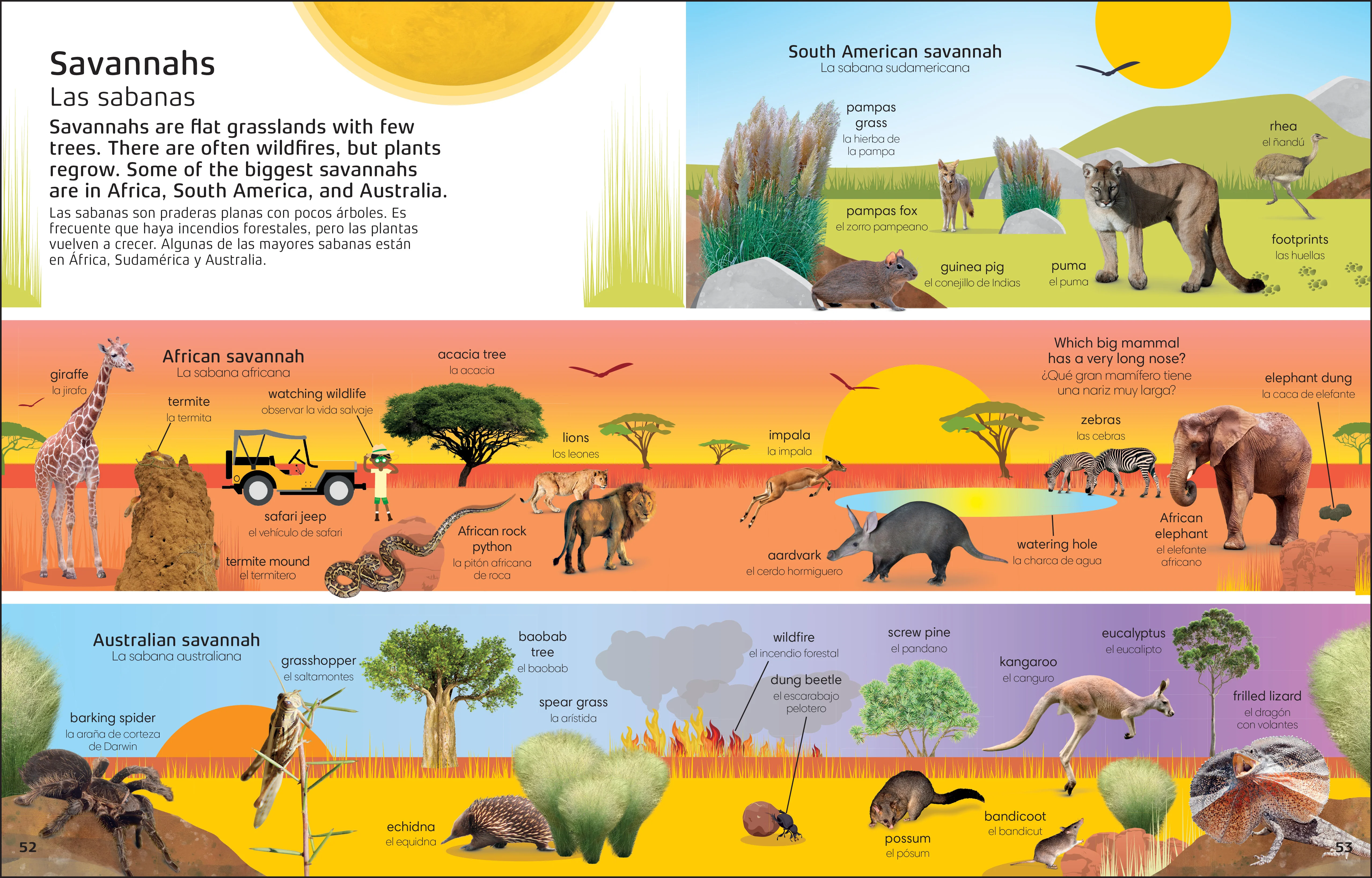 1000 Bilingual words Nature English-Spanish/1000 Palabras bilingues Naturaleza ingles espanol - Image 5