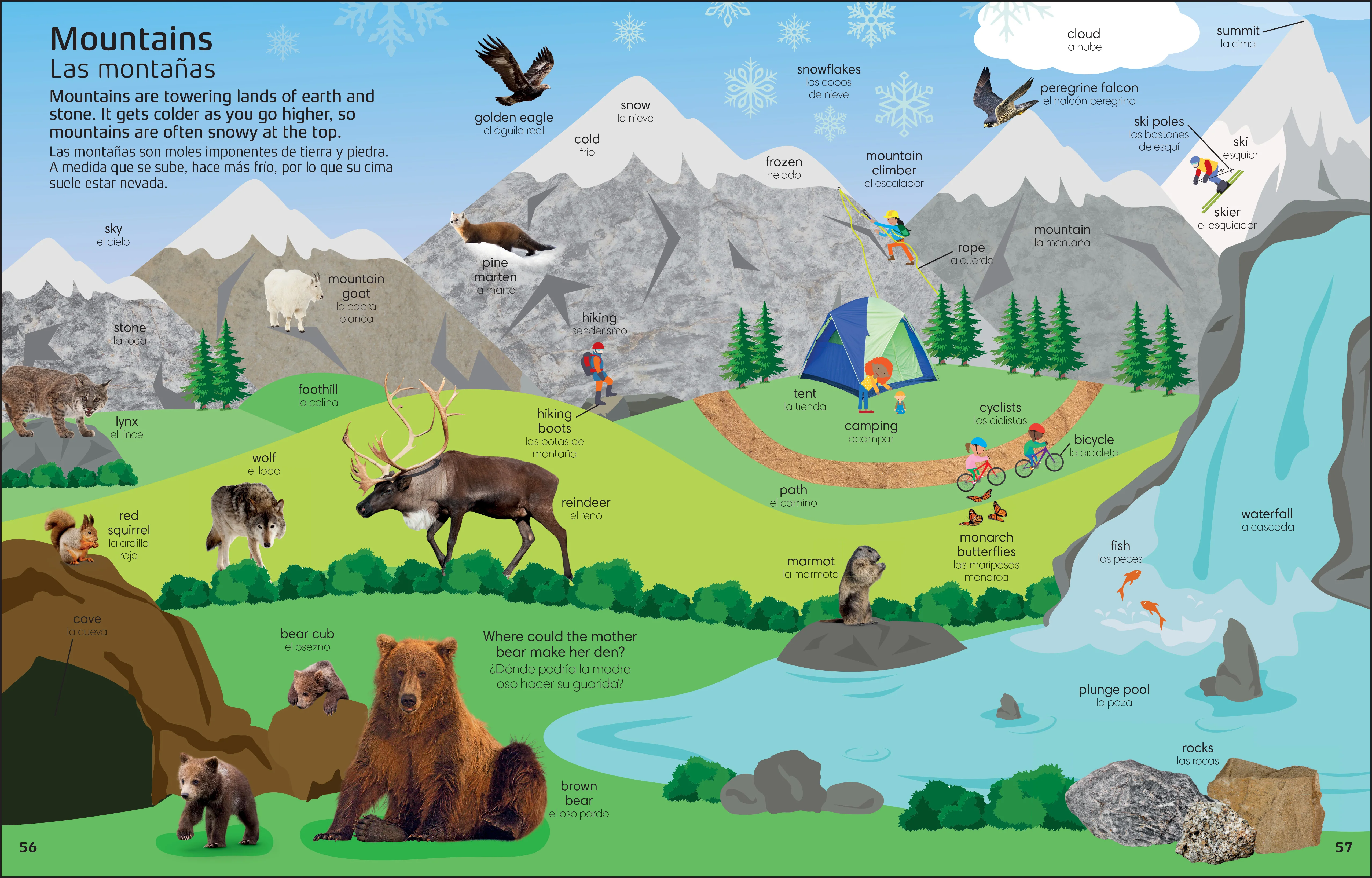 1000 Bilingual words Nature English-Spanish/1000 Palabras bilingues Naturaleza ingles espanol - Image 6