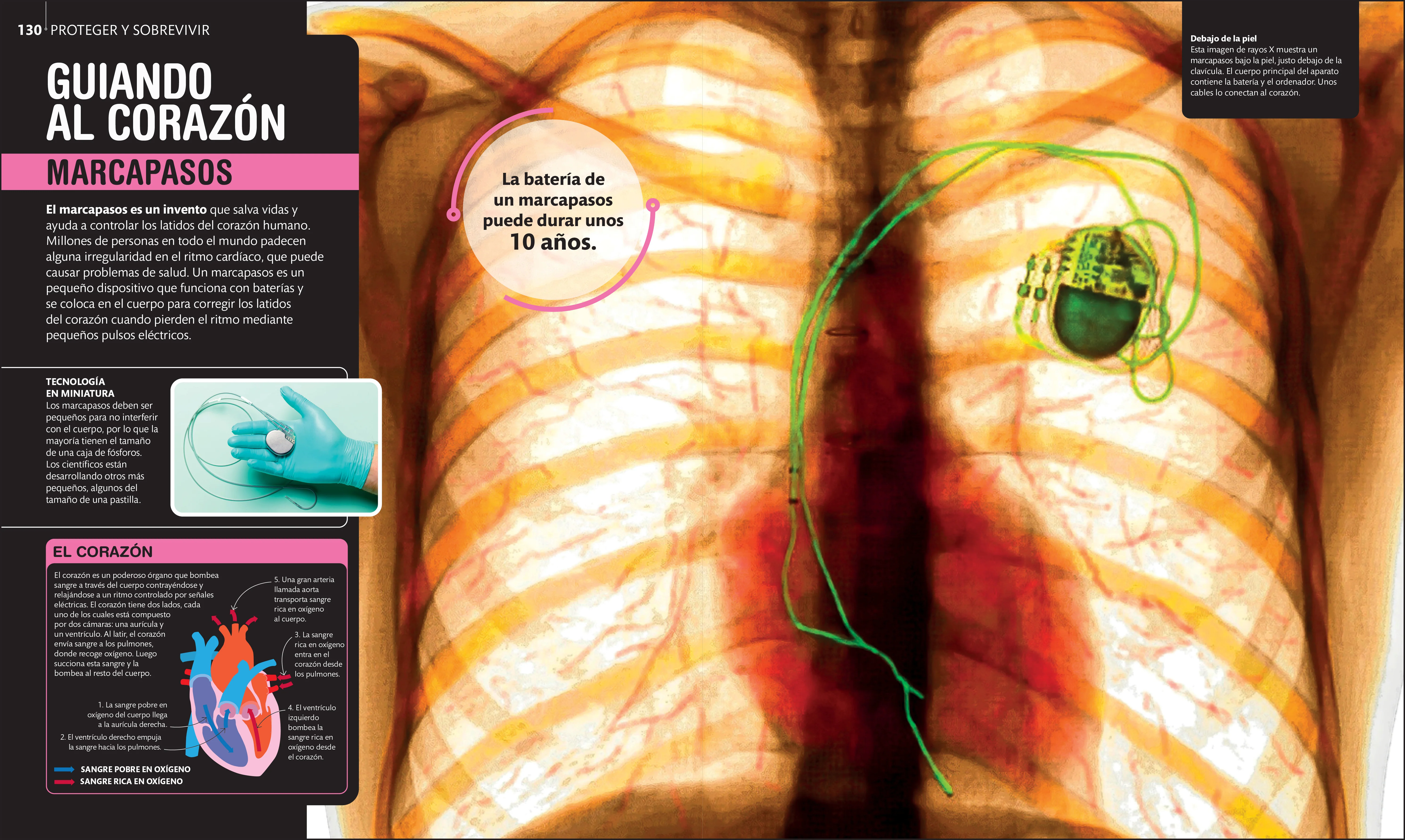 Super ciencia (Super Science Encyclopedia) - Image 5