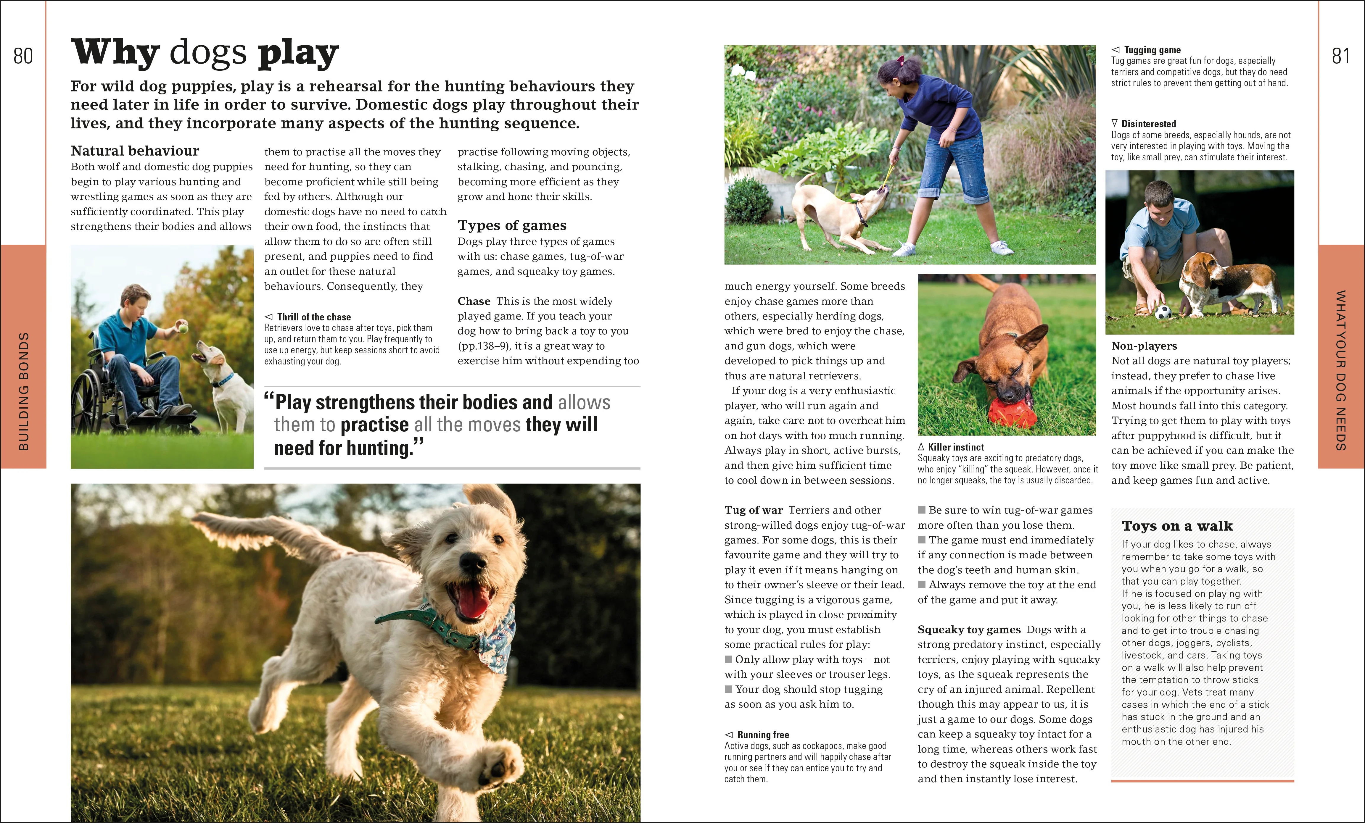 The Beginner's Dog Training Guide - Image 2