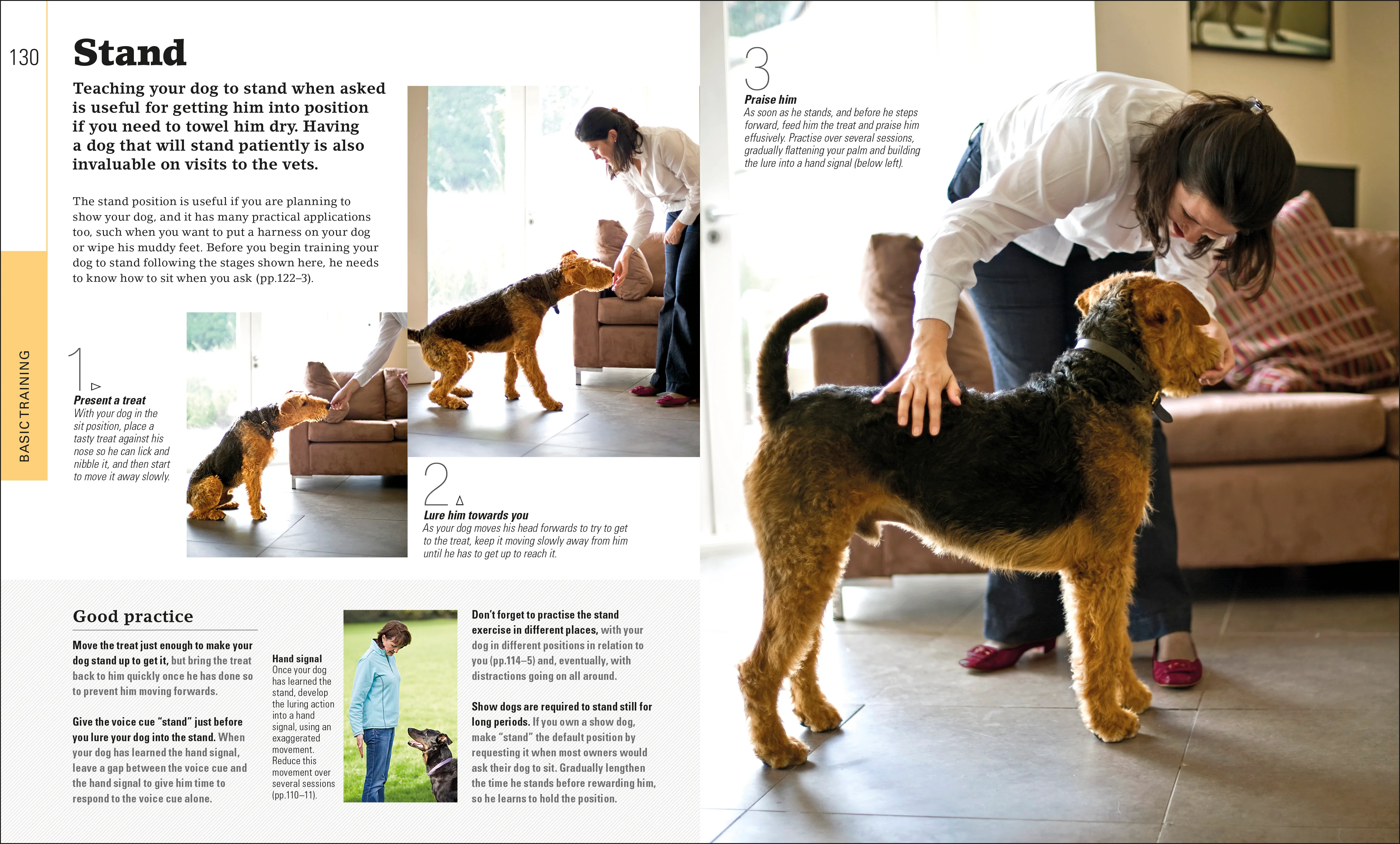 The Beginner's Dog Training Guide - Image 3
