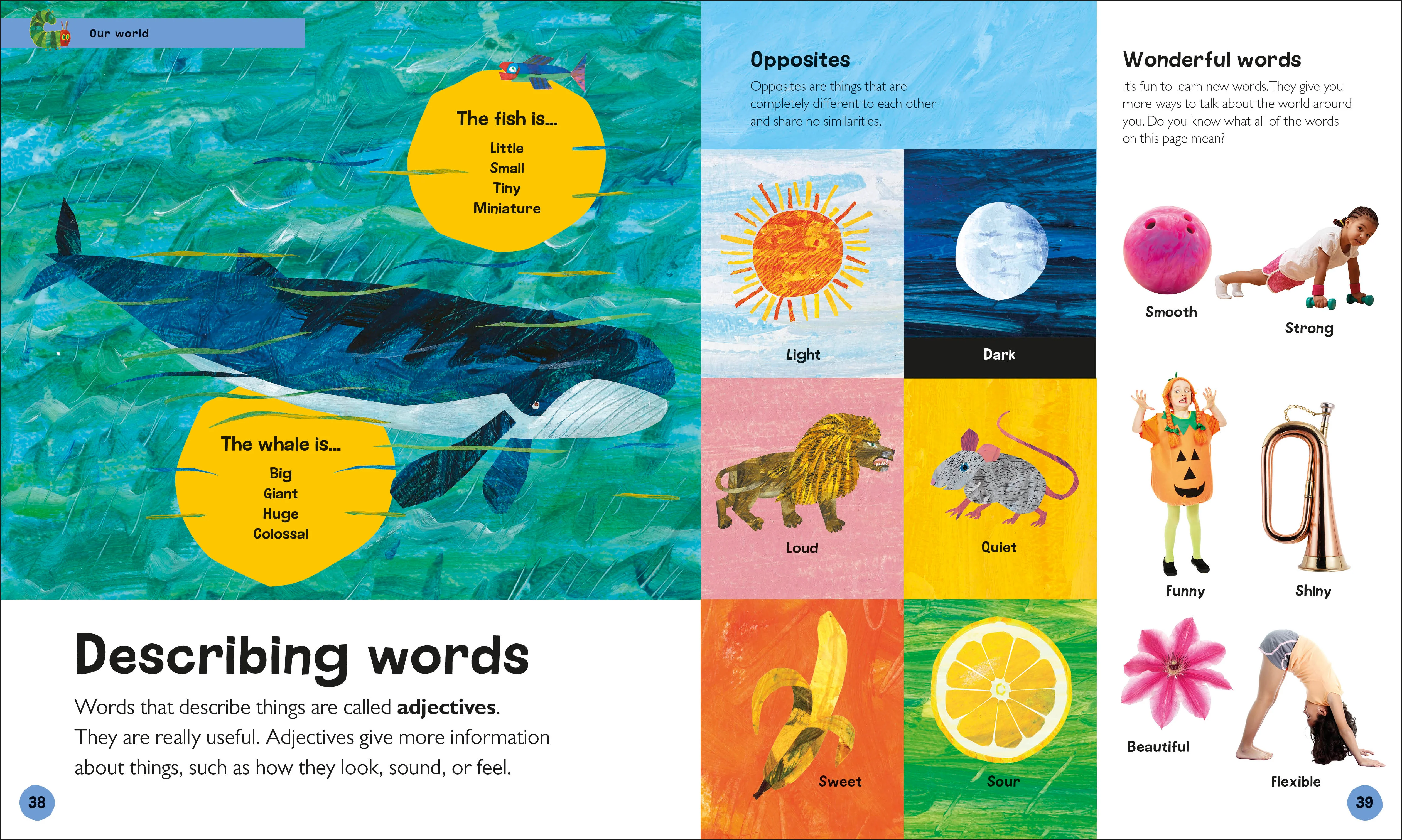The Very Hungry Caterpillar's Very First Encyclopedia - Image 3