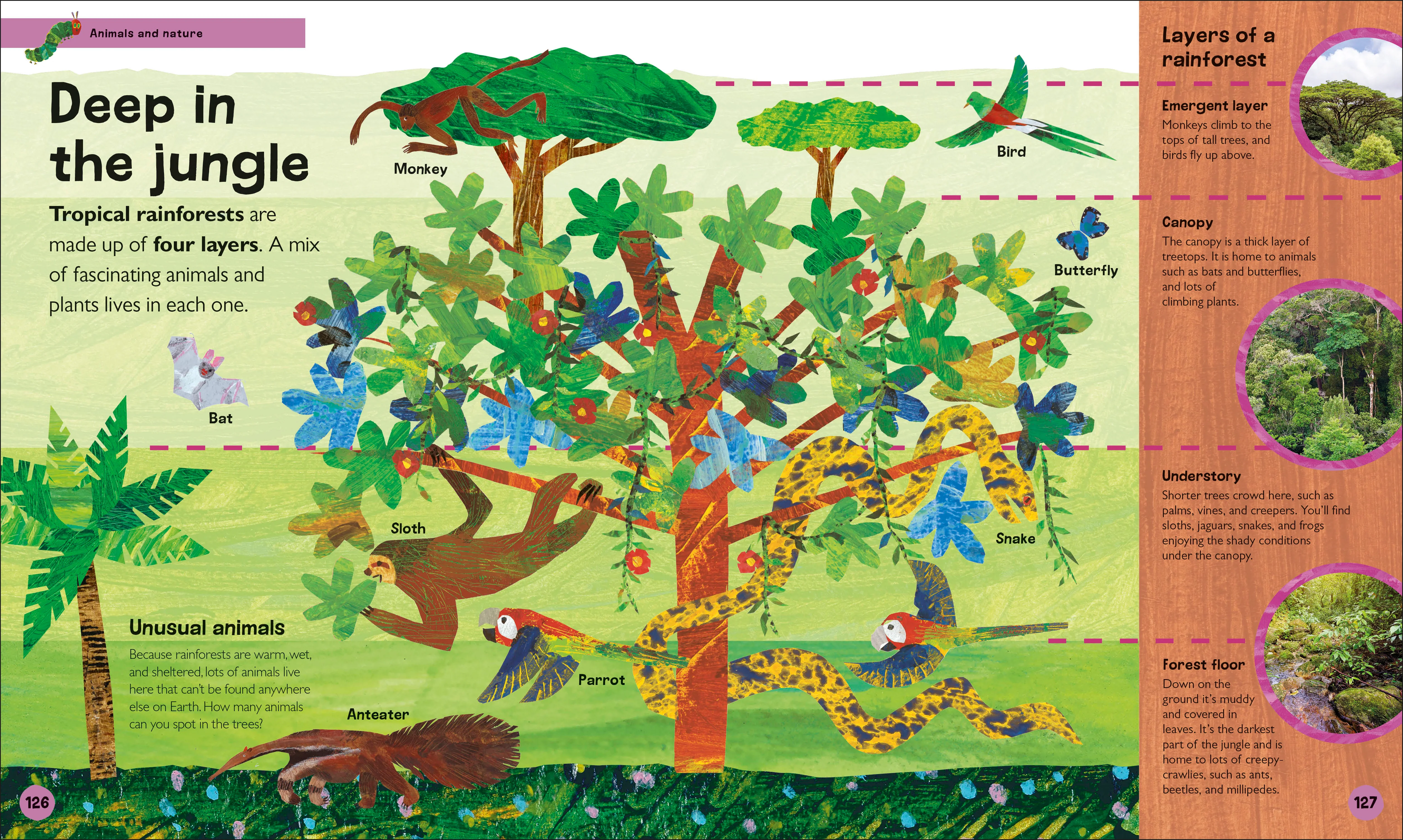 The Very Hungry Caterpillar's Very First Encyclopedia - Image 4