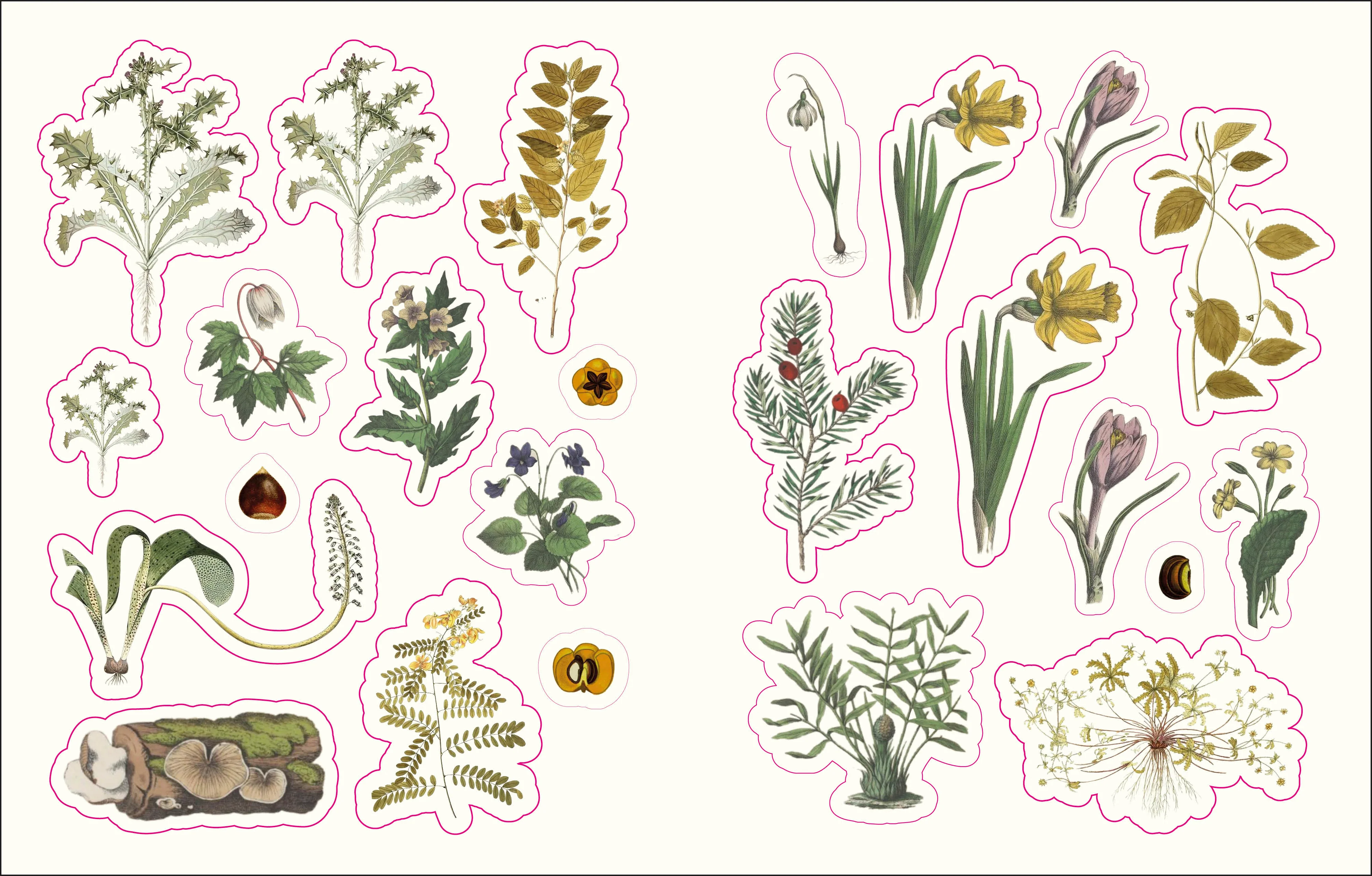 The Forests, Fairies and Fungi Sticker Anthology - Image 2