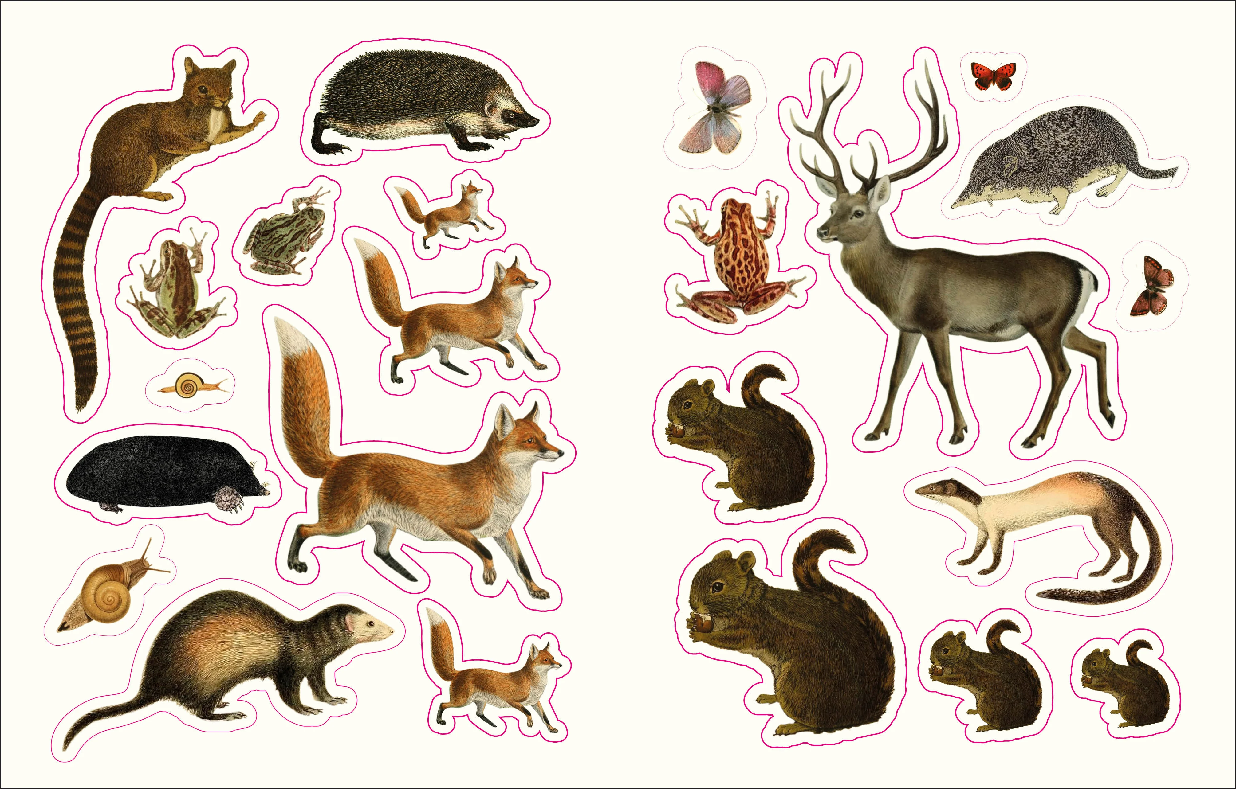 The Forests, Fairies and Fungi Sticker Anthology - Image 3