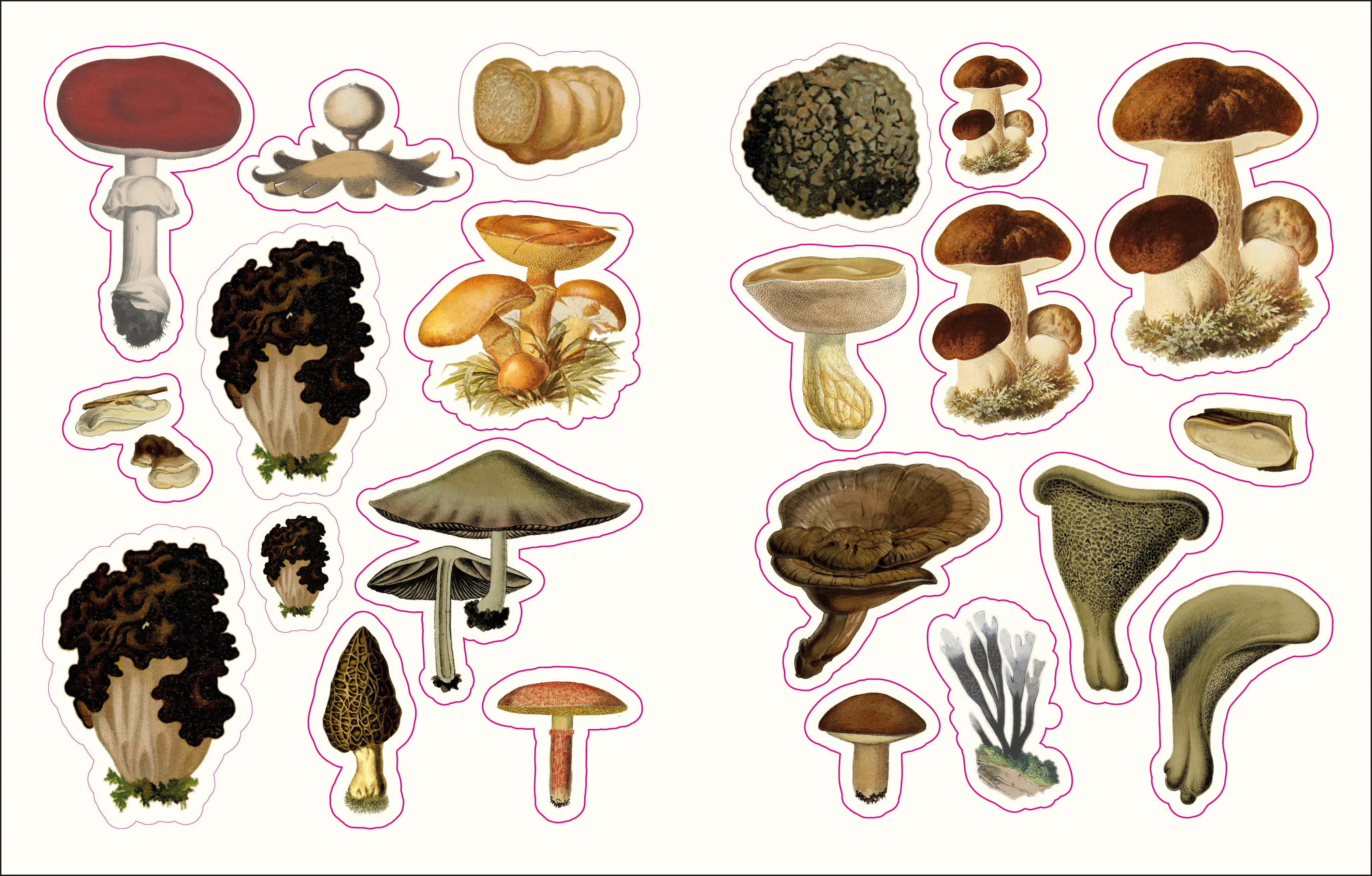 The Forests, Fairies and Fungi Sticker Anthology - Image 4