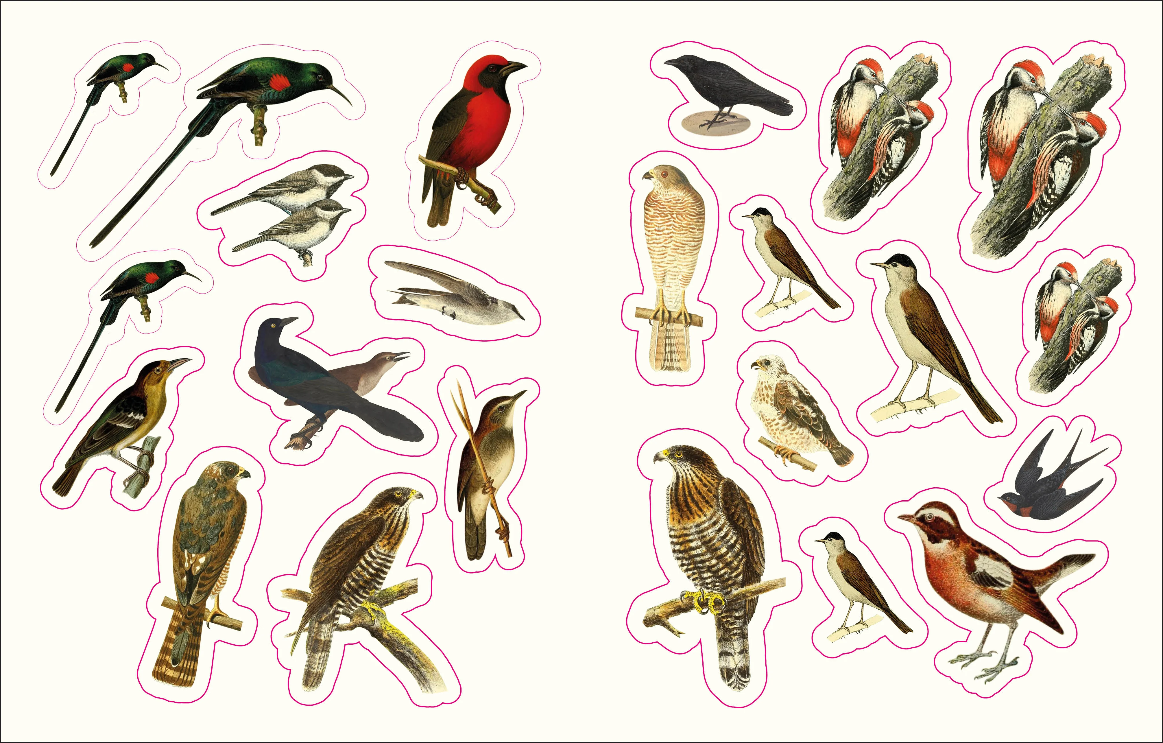 The Forests, Fairies and Fungi Sticker Anthology - Image 5