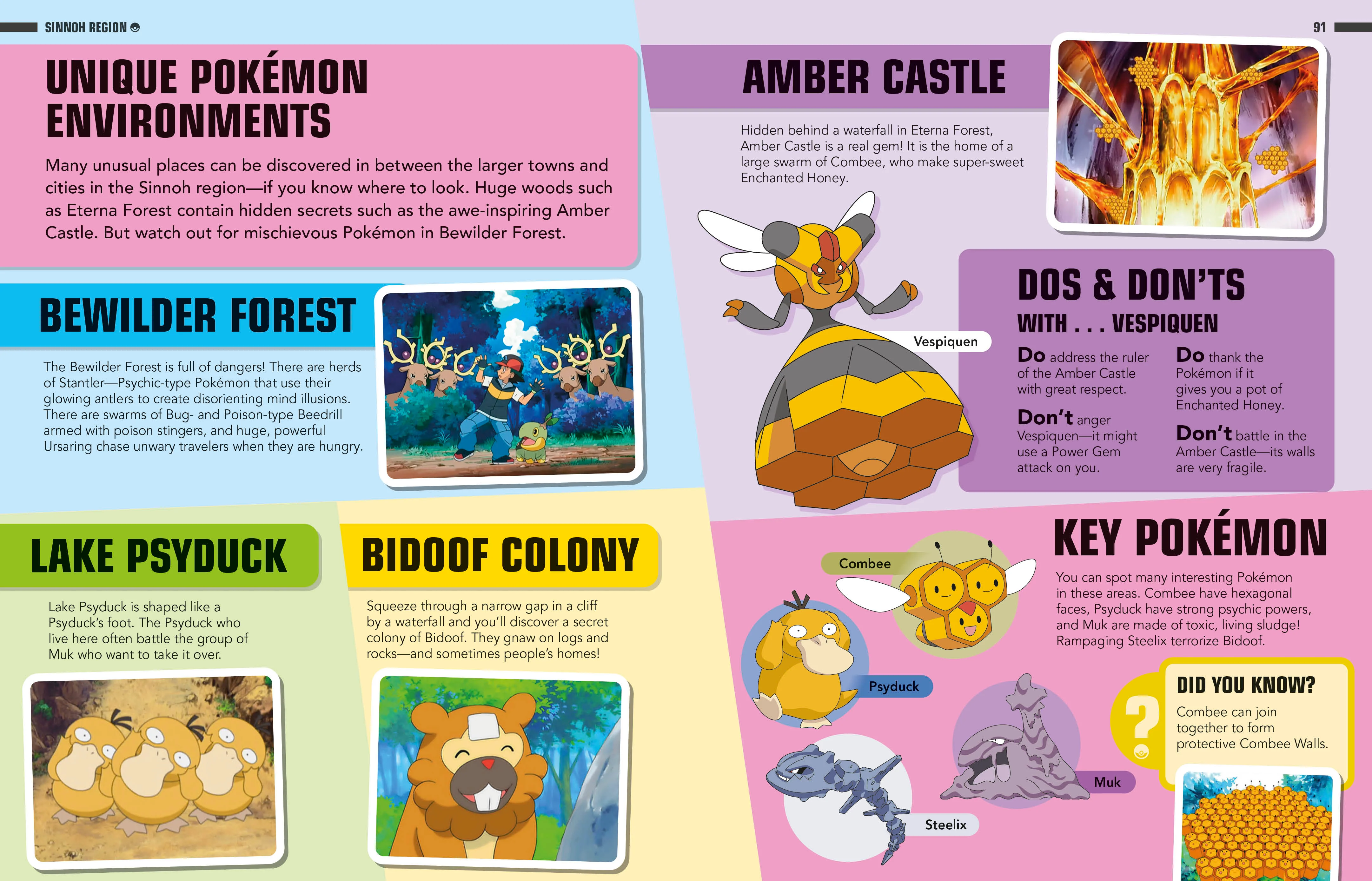 Pokémon Ash's Atlas - Image 6
