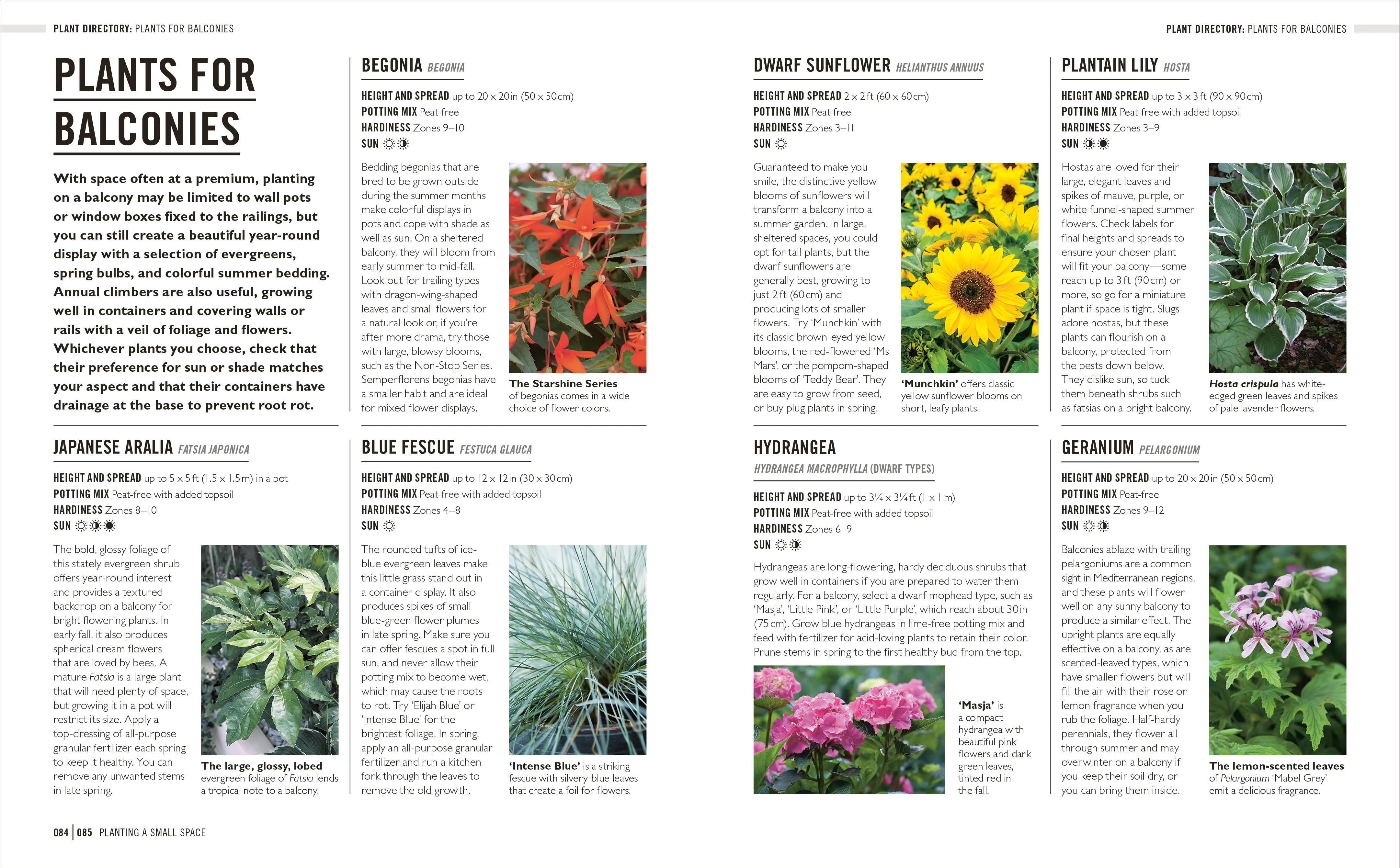 Grow Small Gardens - Image 4