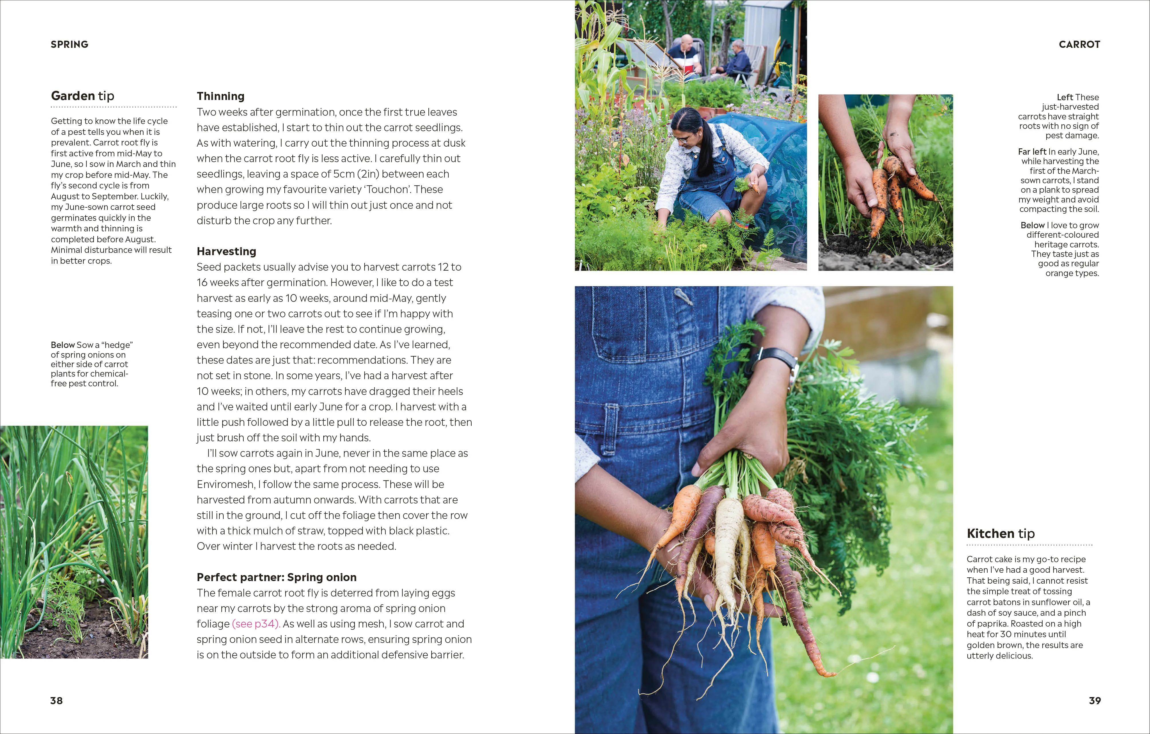 Rekha's Kitchen Garden - Image 5
