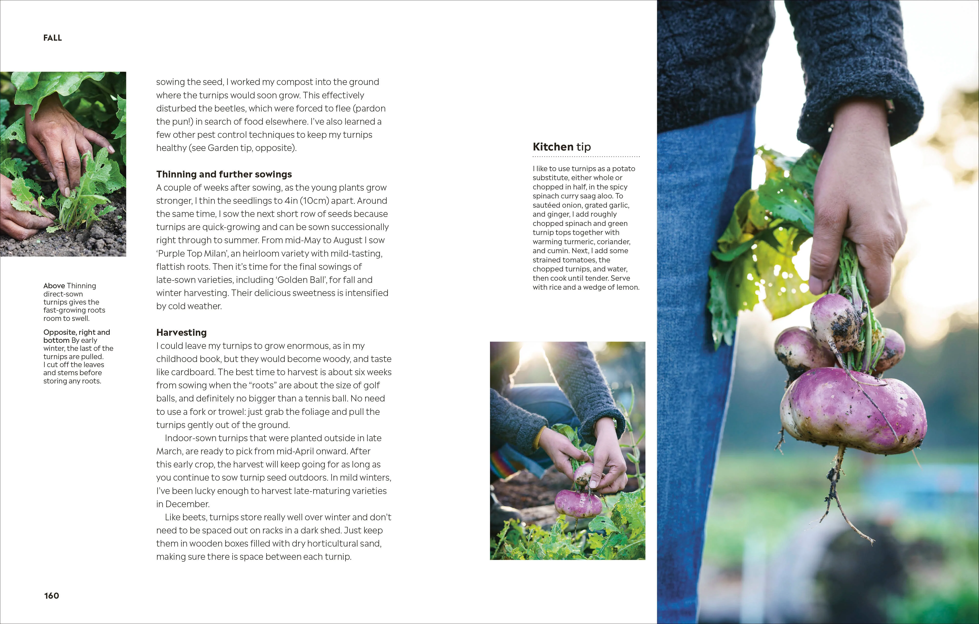 Rekha's Kitchen Garden - Image 8