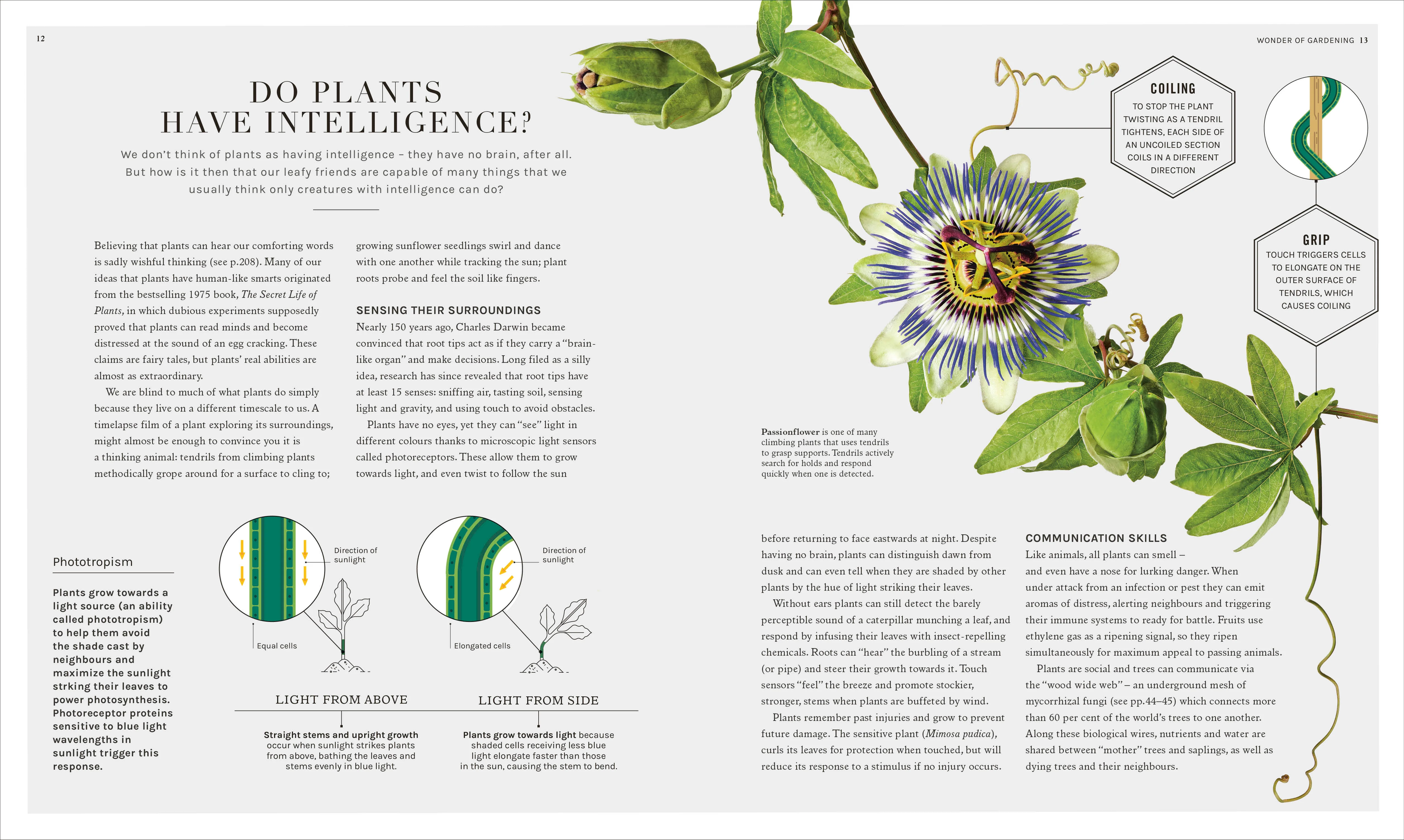 The Science of Gardening - Image 10