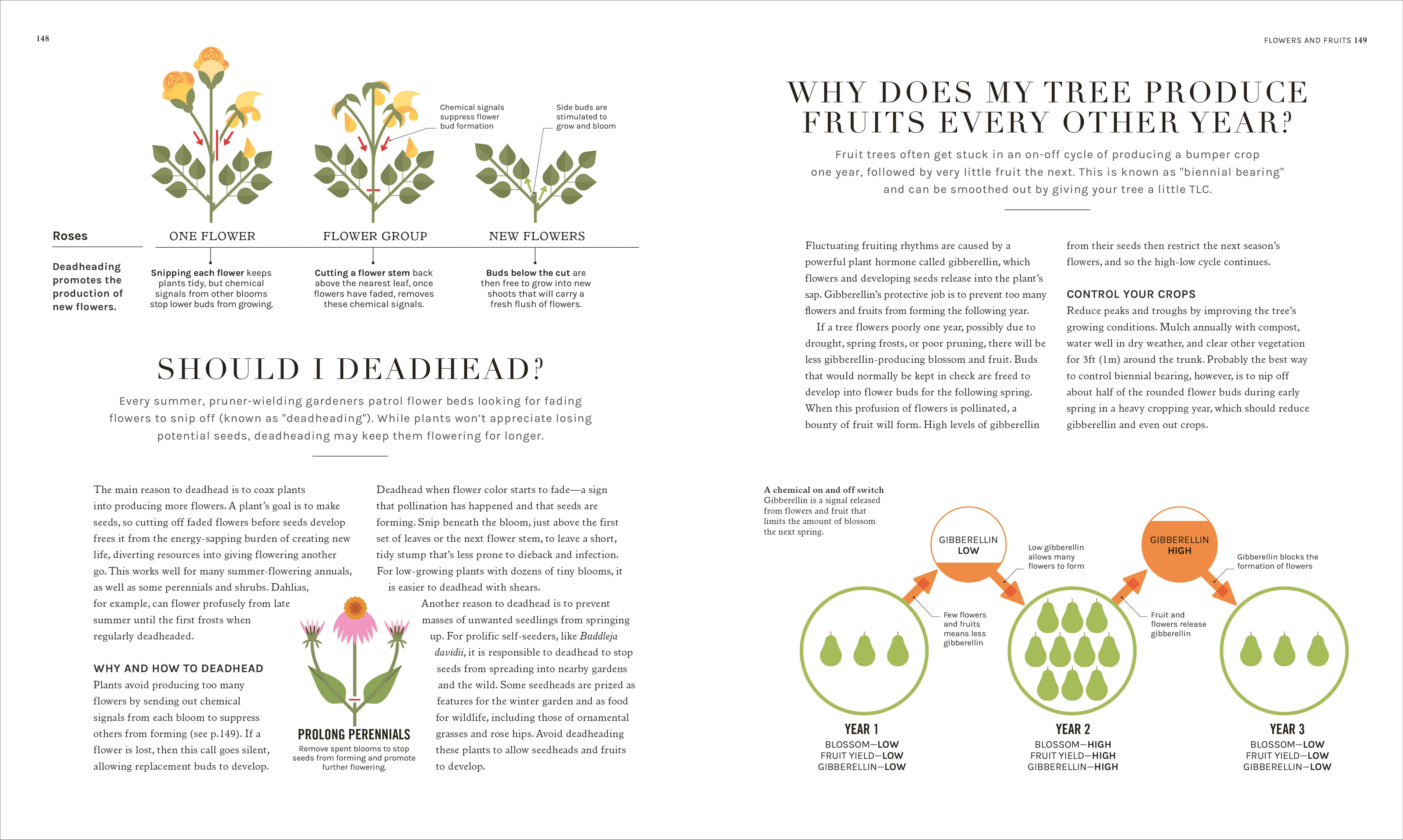 The Science of Gardening - Image 7