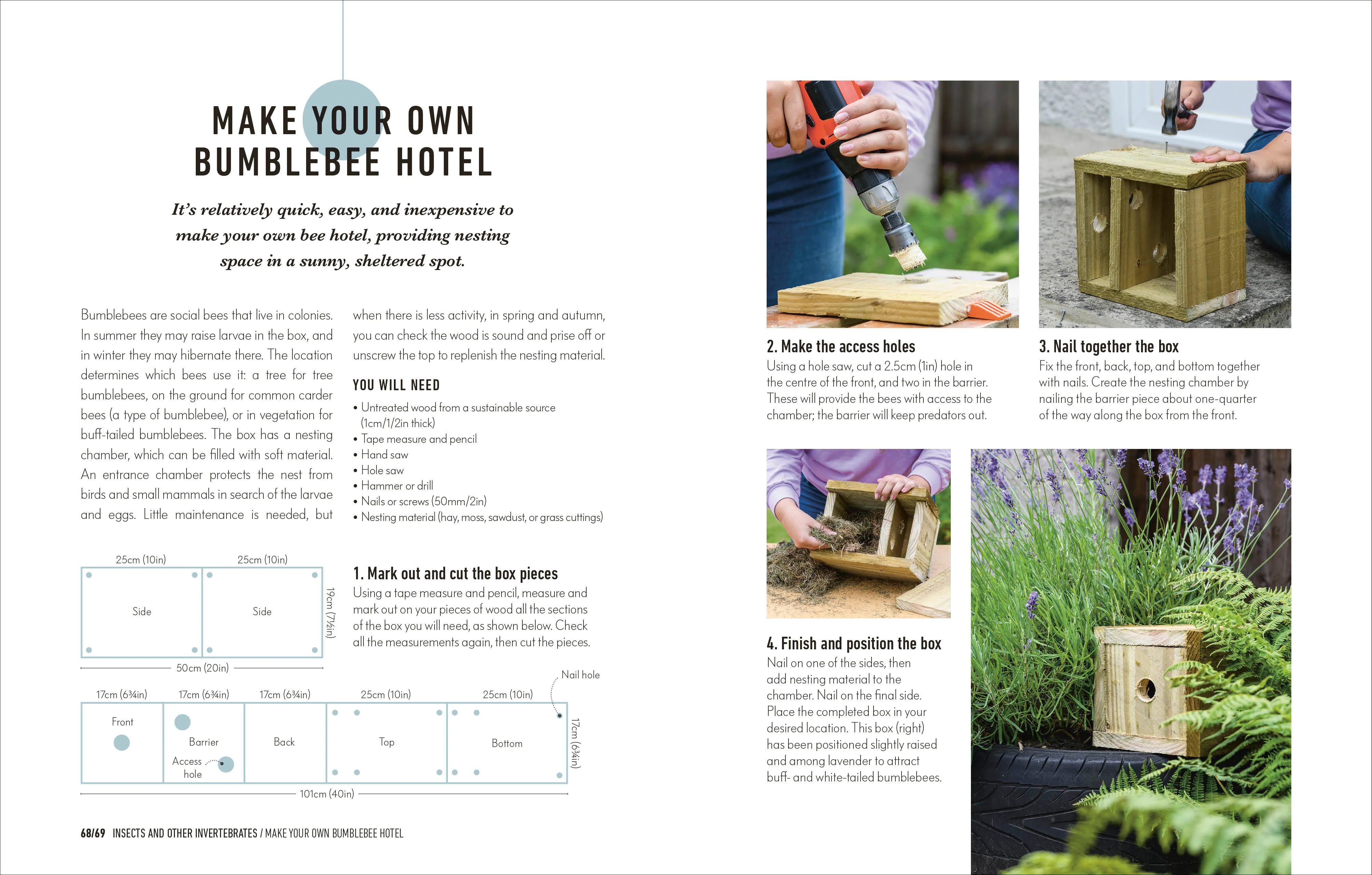 How to Attract Wildlife to Your Garden - Image 10