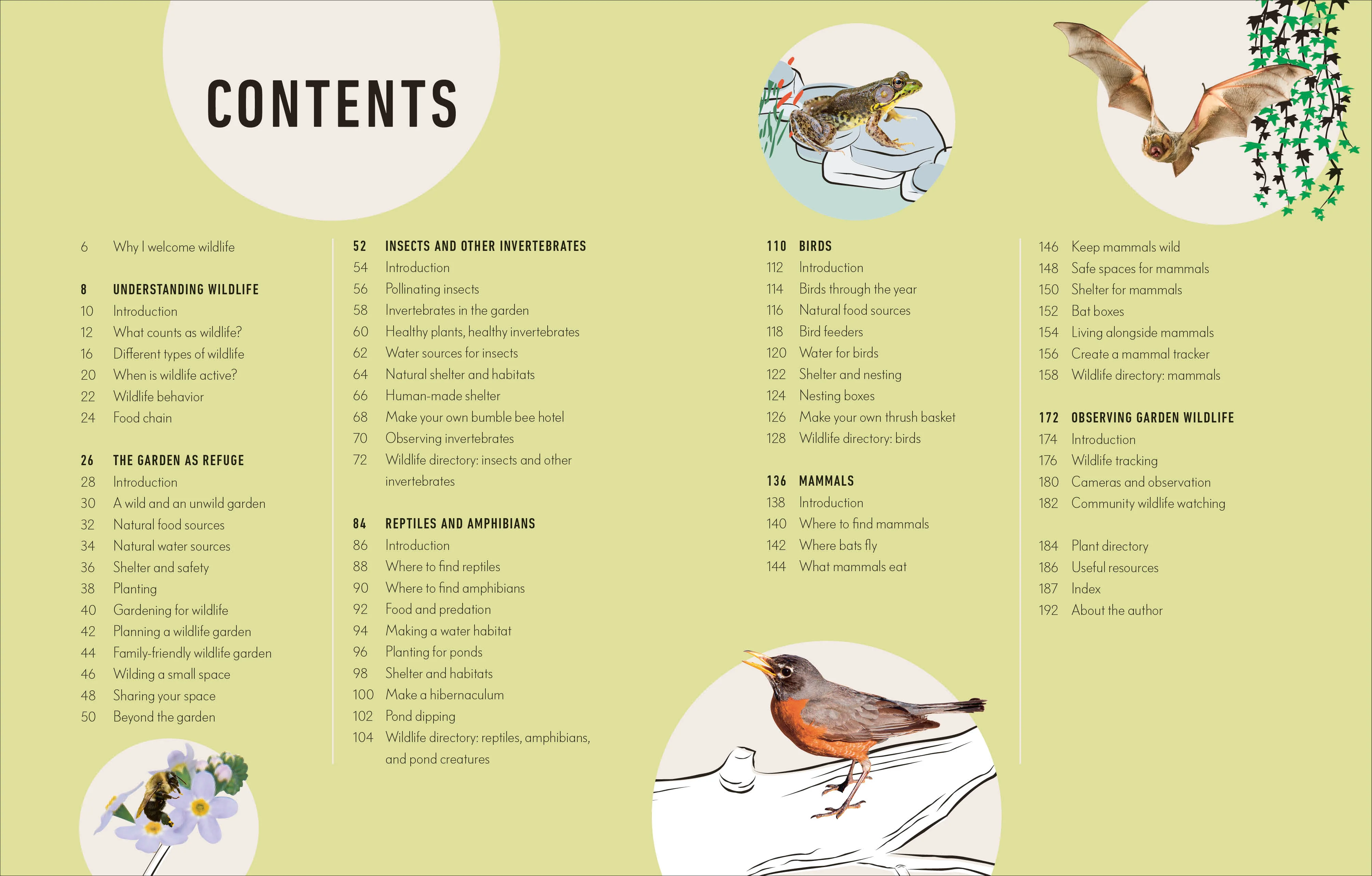 How to Attract Wildlife to Your Garden - Image 2