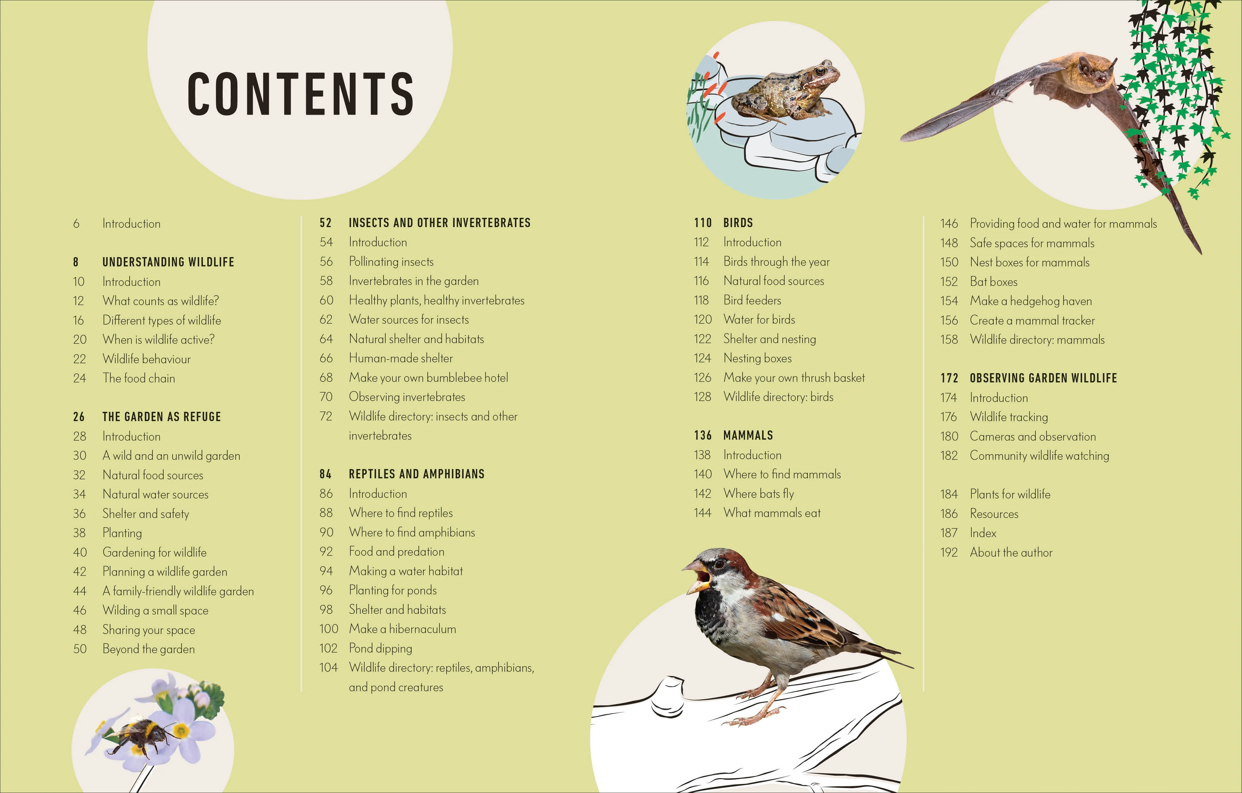 How to Attract Wildlife to Your Garden - Image 7