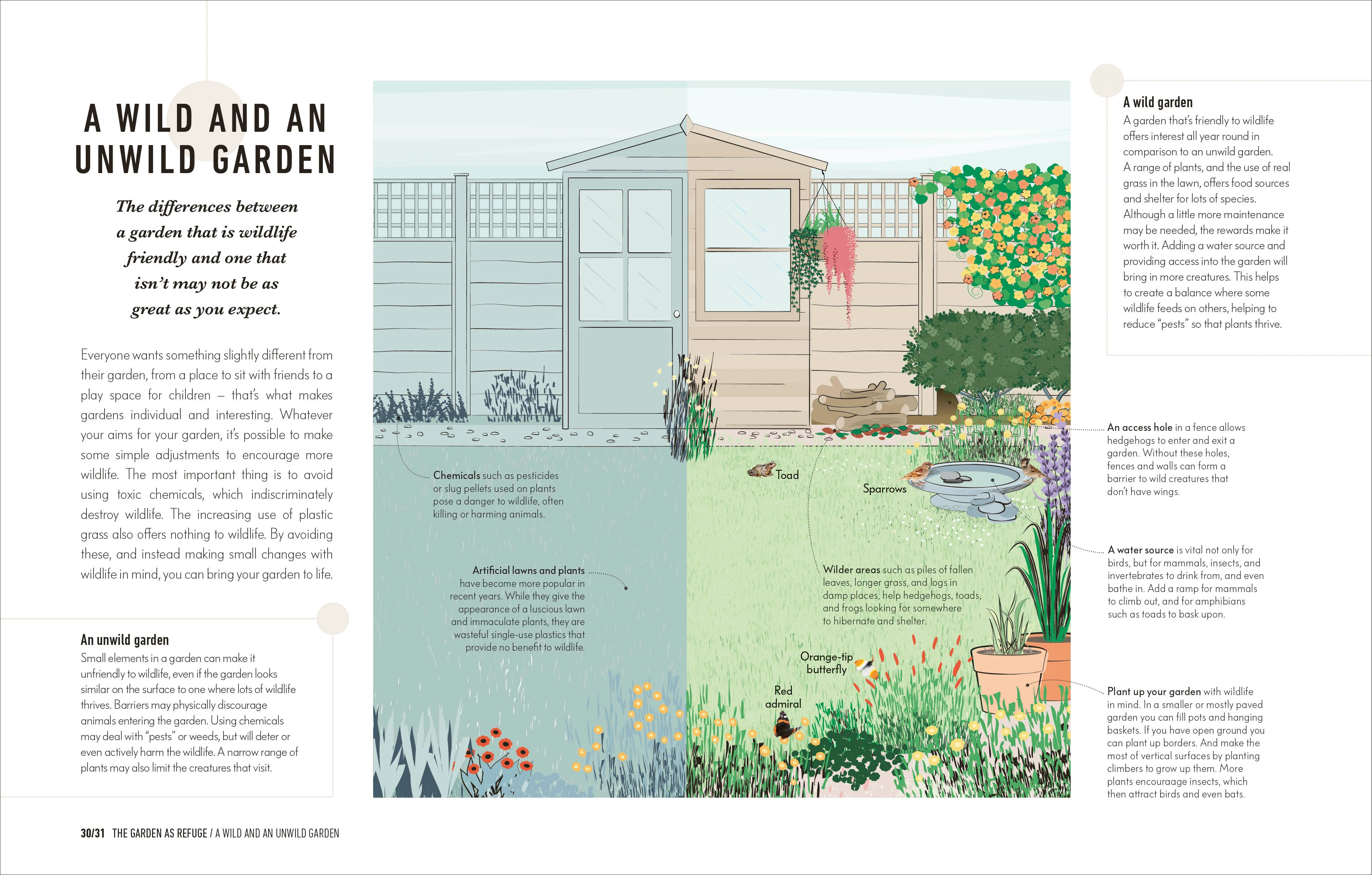 How to Attract Wildlife to Your Garden - Image 9