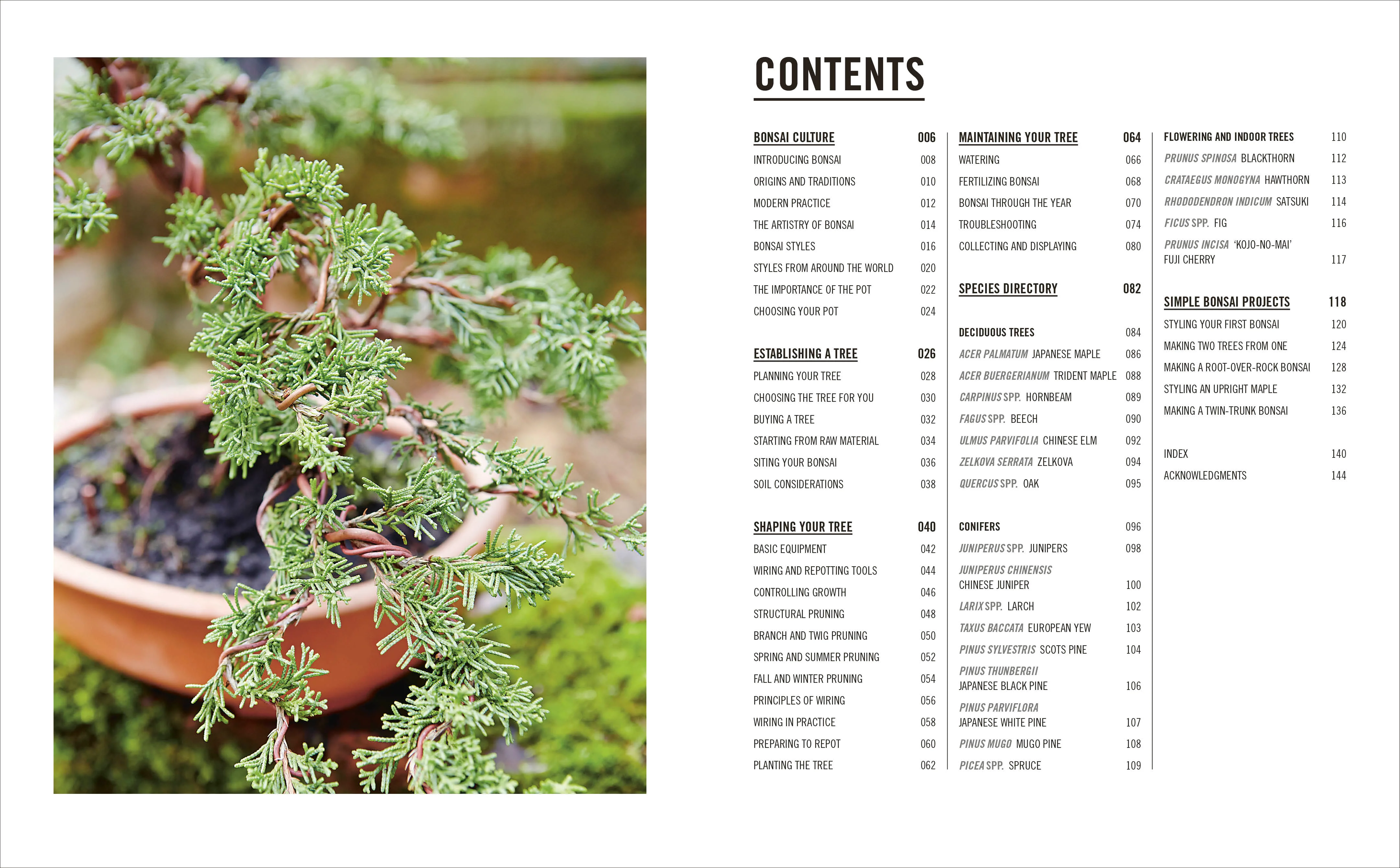 Grow Bonsai - Image 2