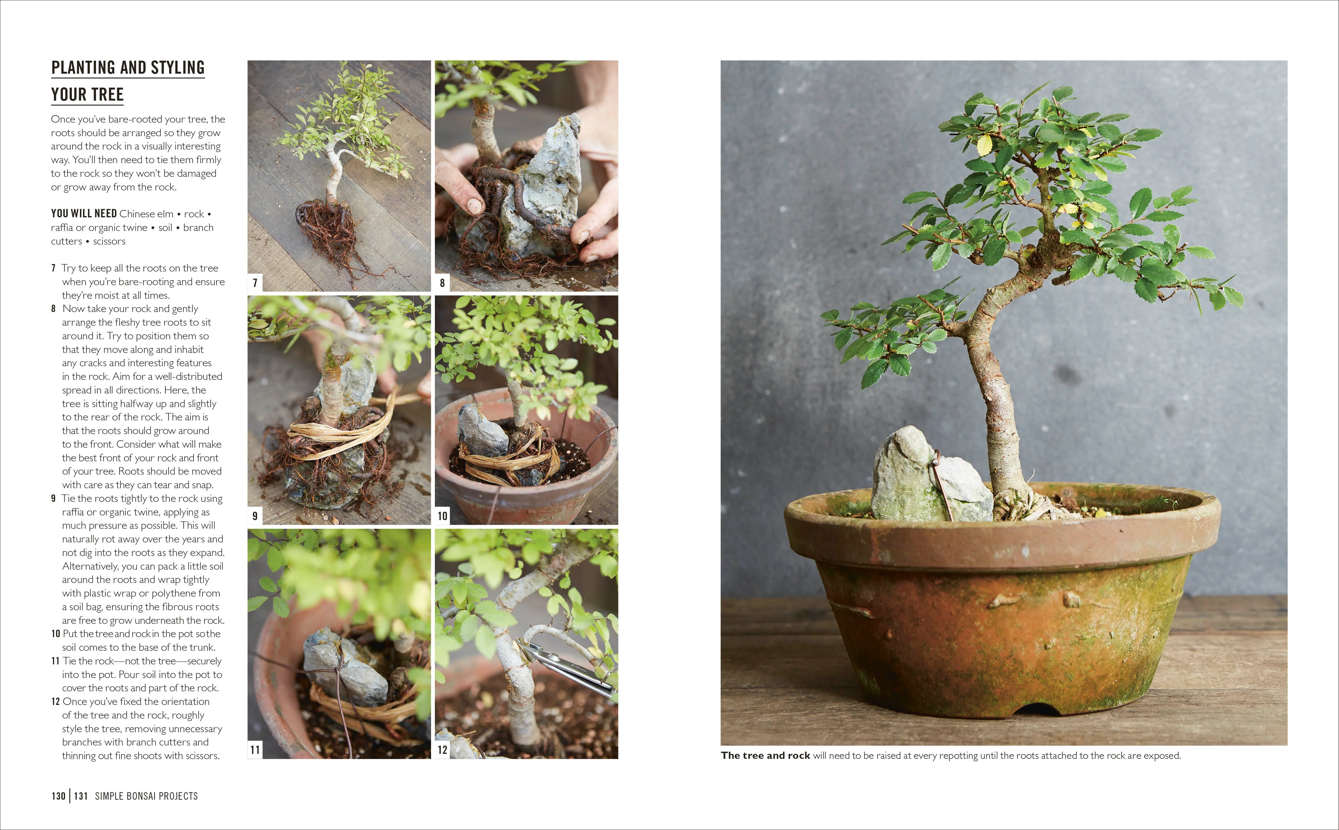 Grow Bonsai - Image 7