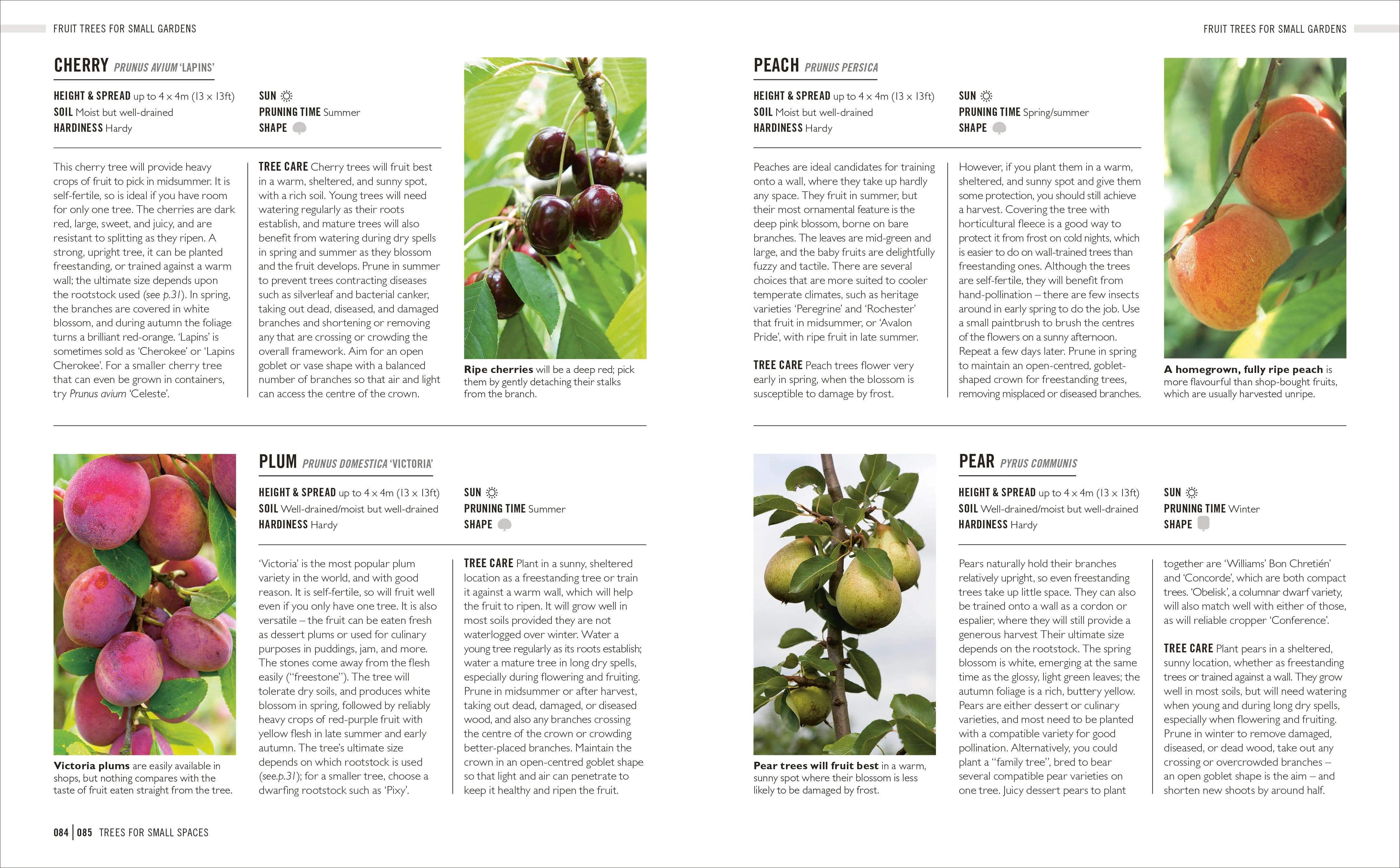 Grow Trees - Image 11