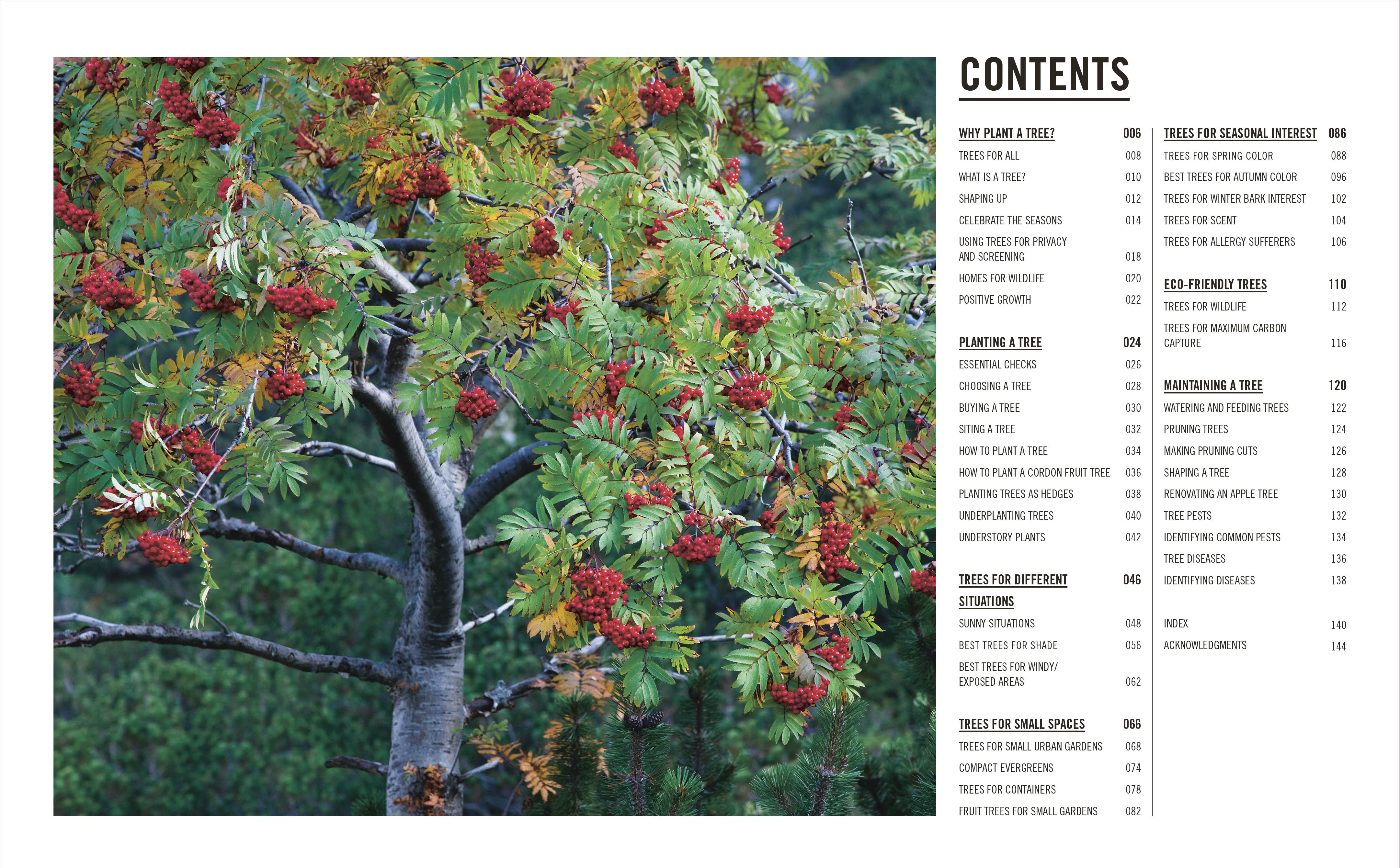Grow Trees - Image 2