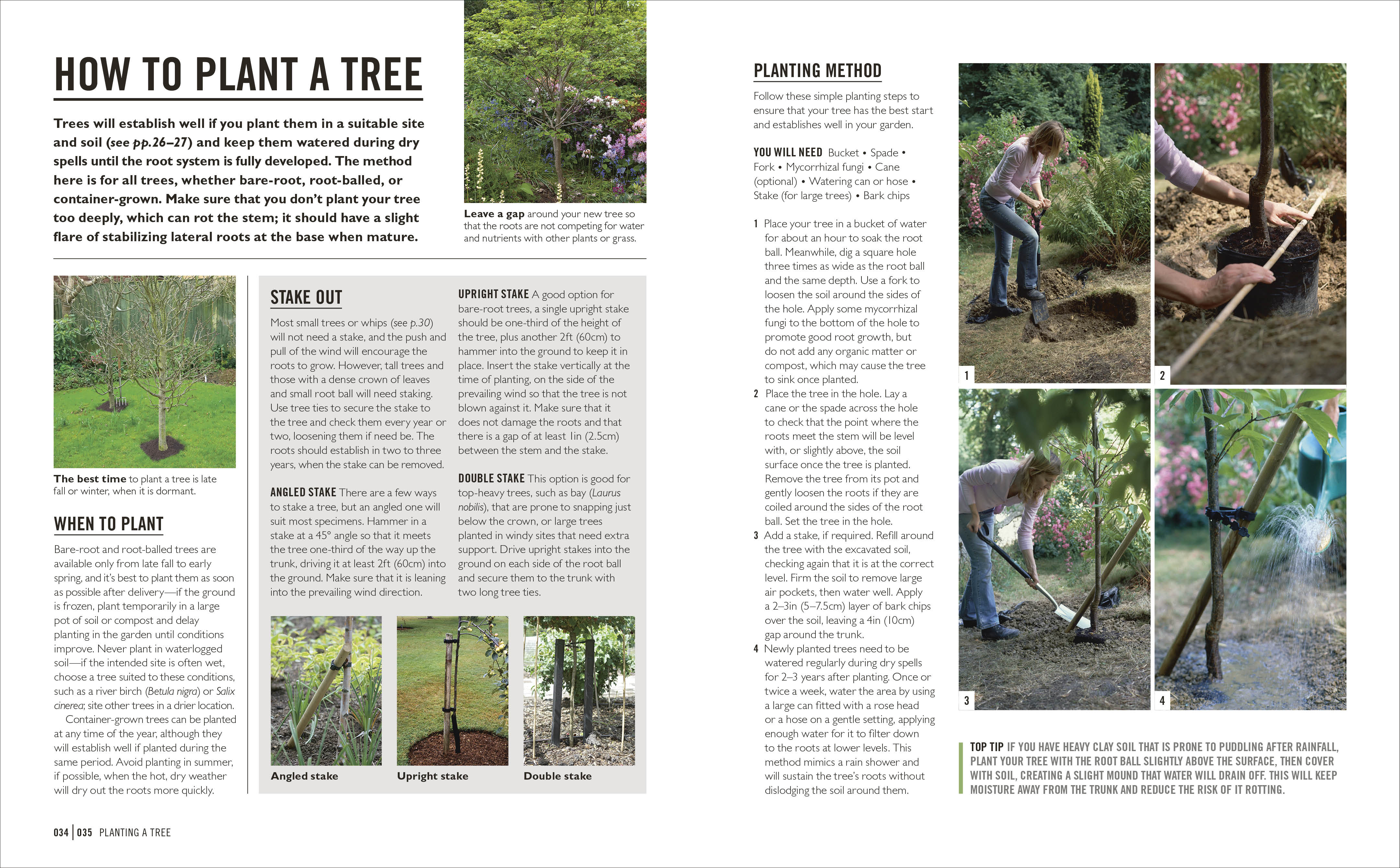 Grow Trees - Image 5