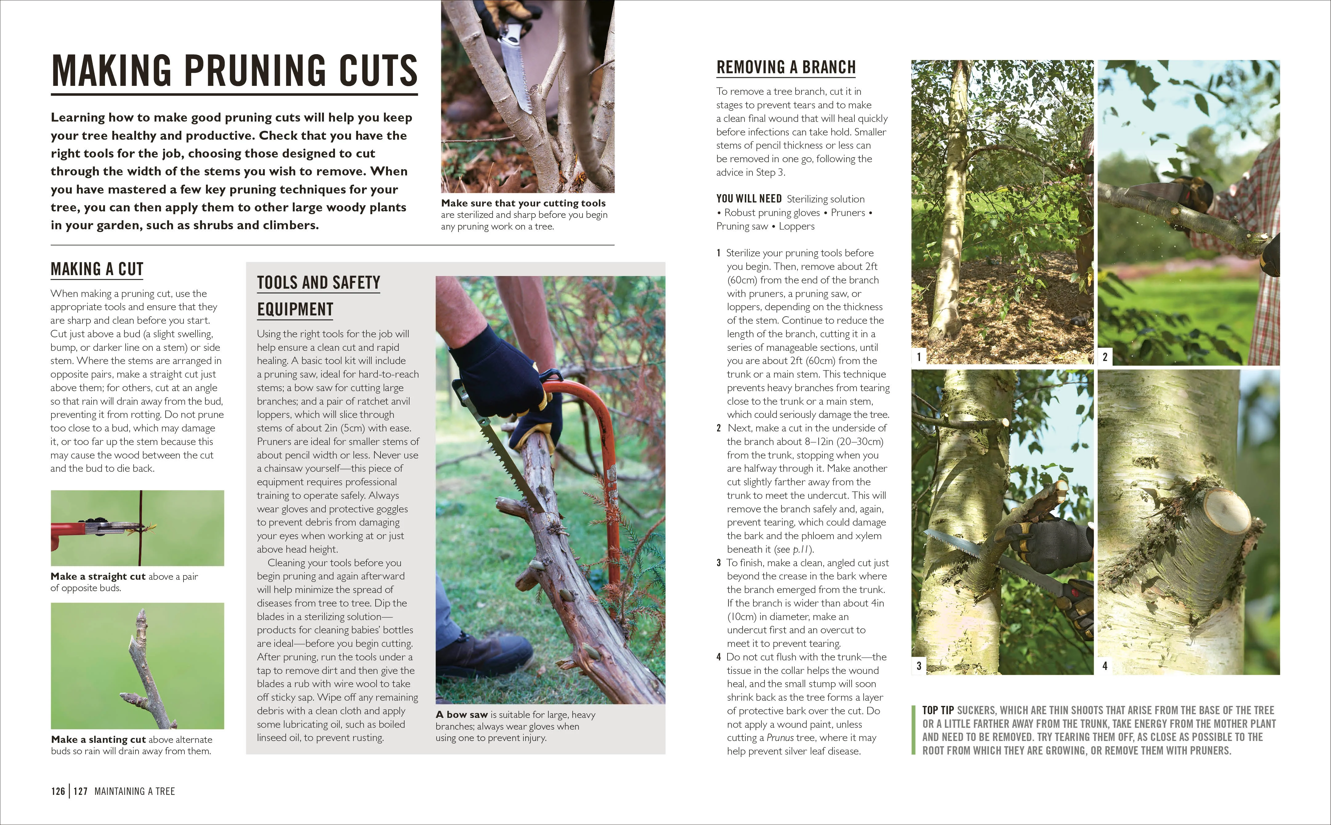 Grow Trees - Image 8