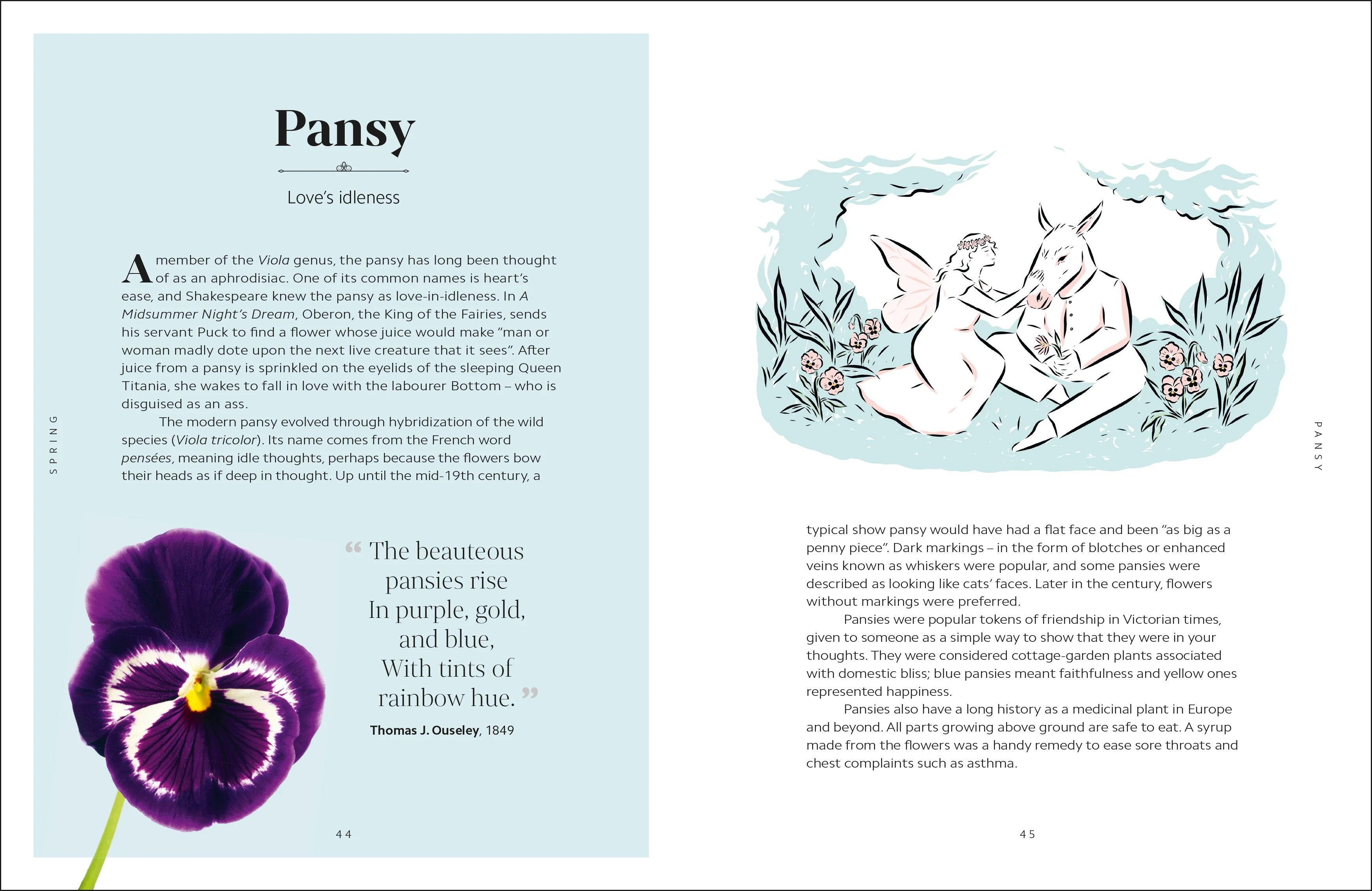 The Secret Language of Flowers - Image 11