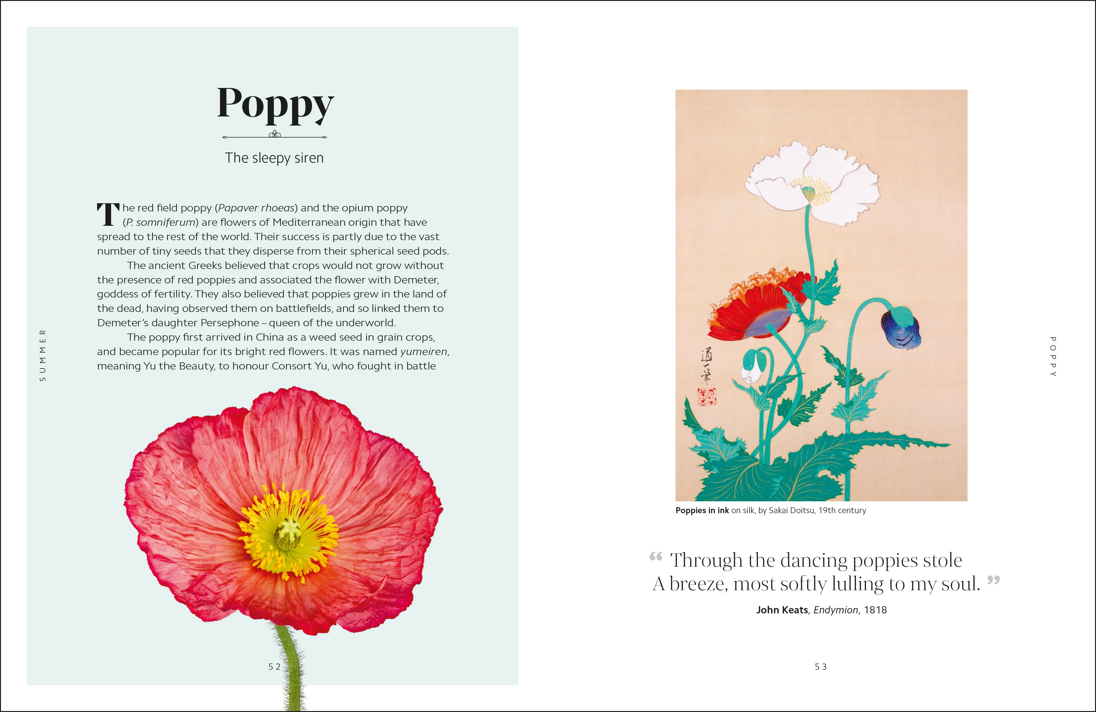 The Secret Language of Flowers - Image 12