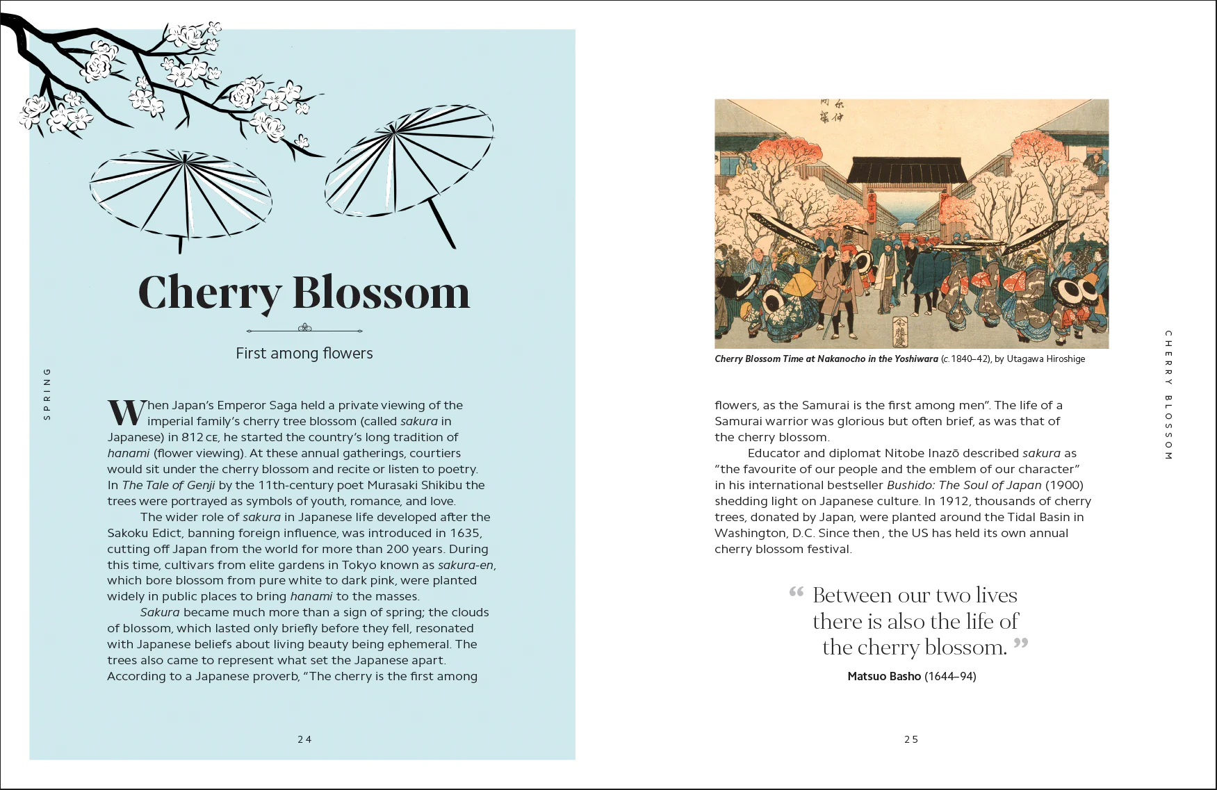 The Secret Language of Flowers - Image 3