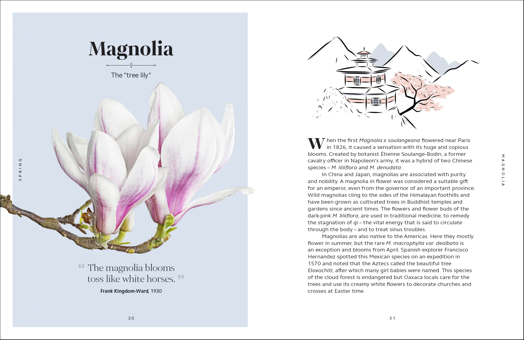 The Secret Language of Flowers - Image 4
