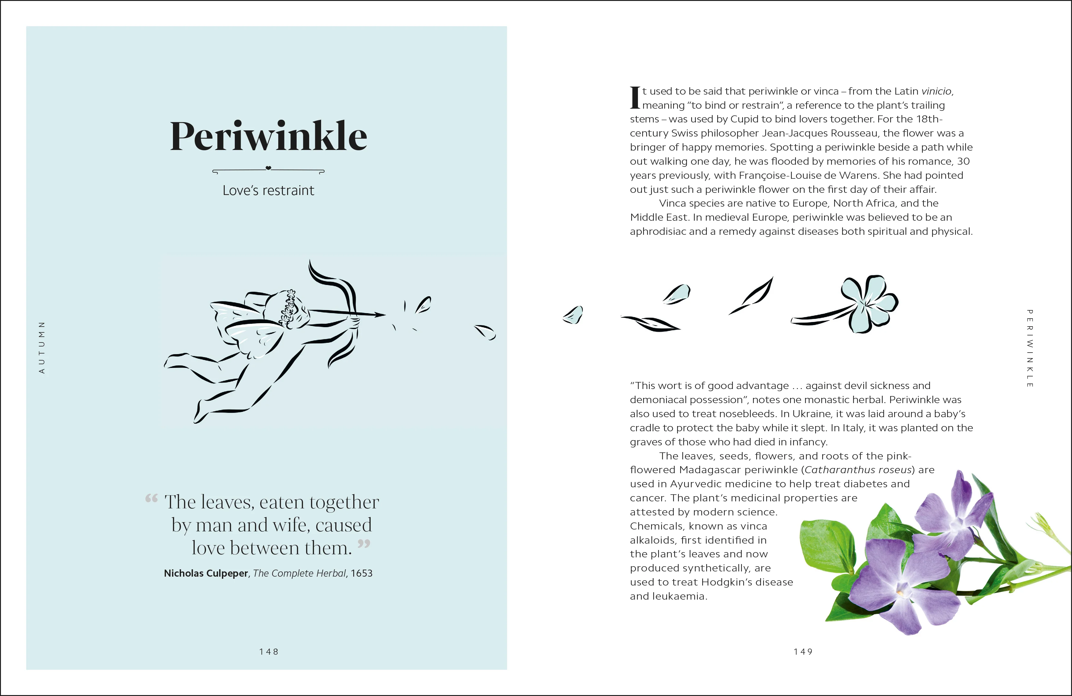 The Secret Language of Flowers - Image 7
