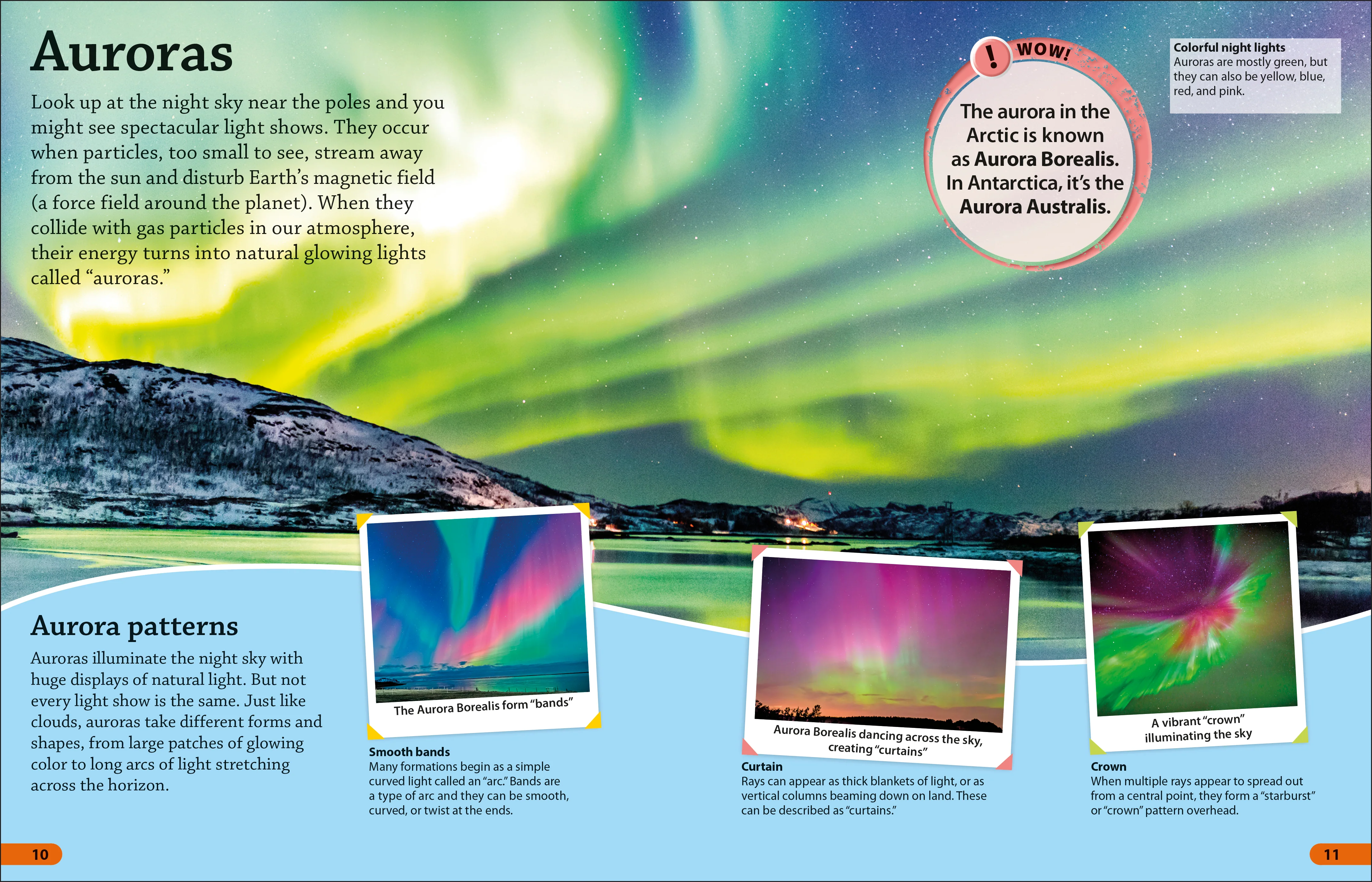 DKFindout! Arctic and Antarctic - Image 2