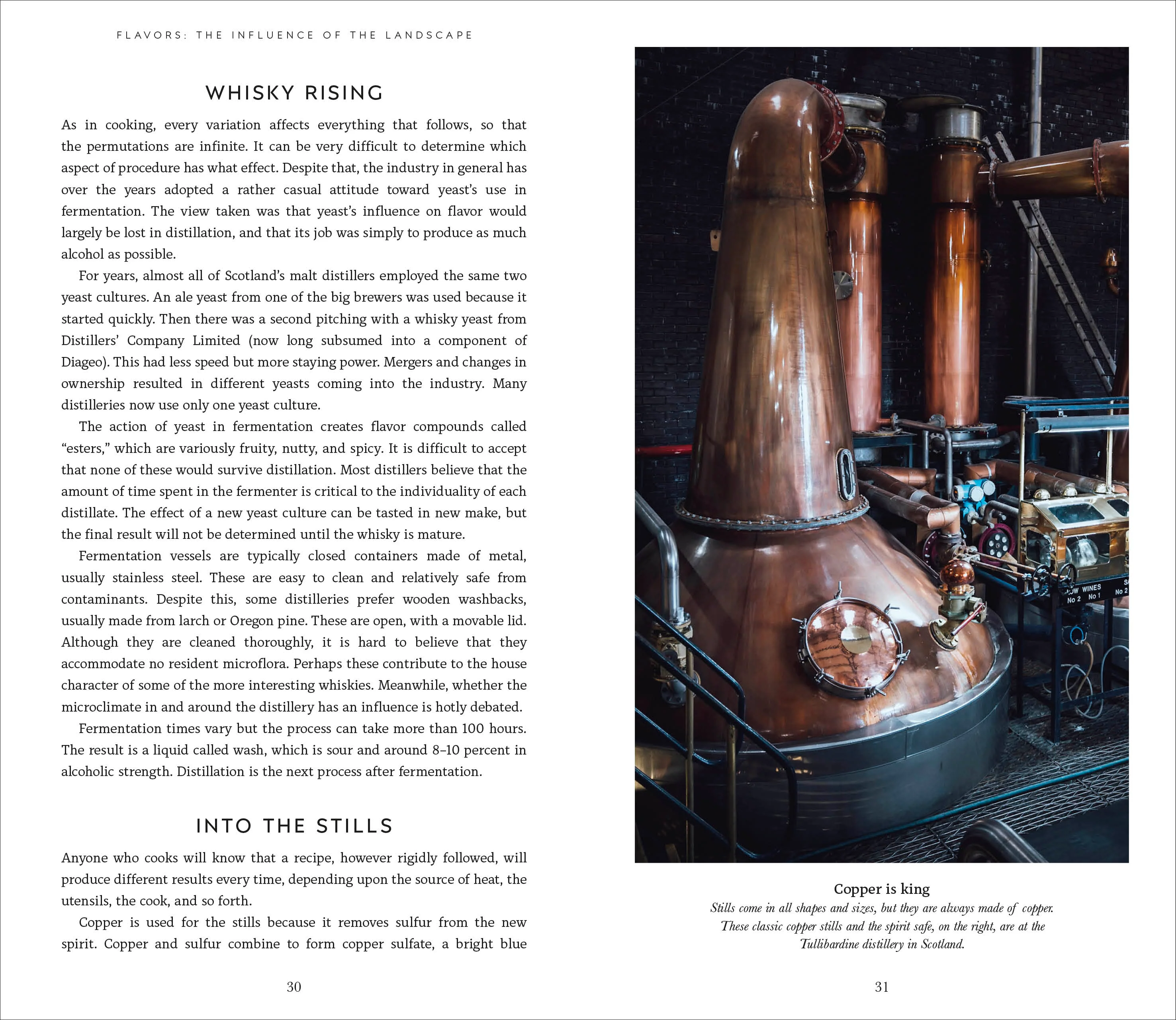 Michael Jackson's Complete Guide to Single Malt Scotch - Image 4