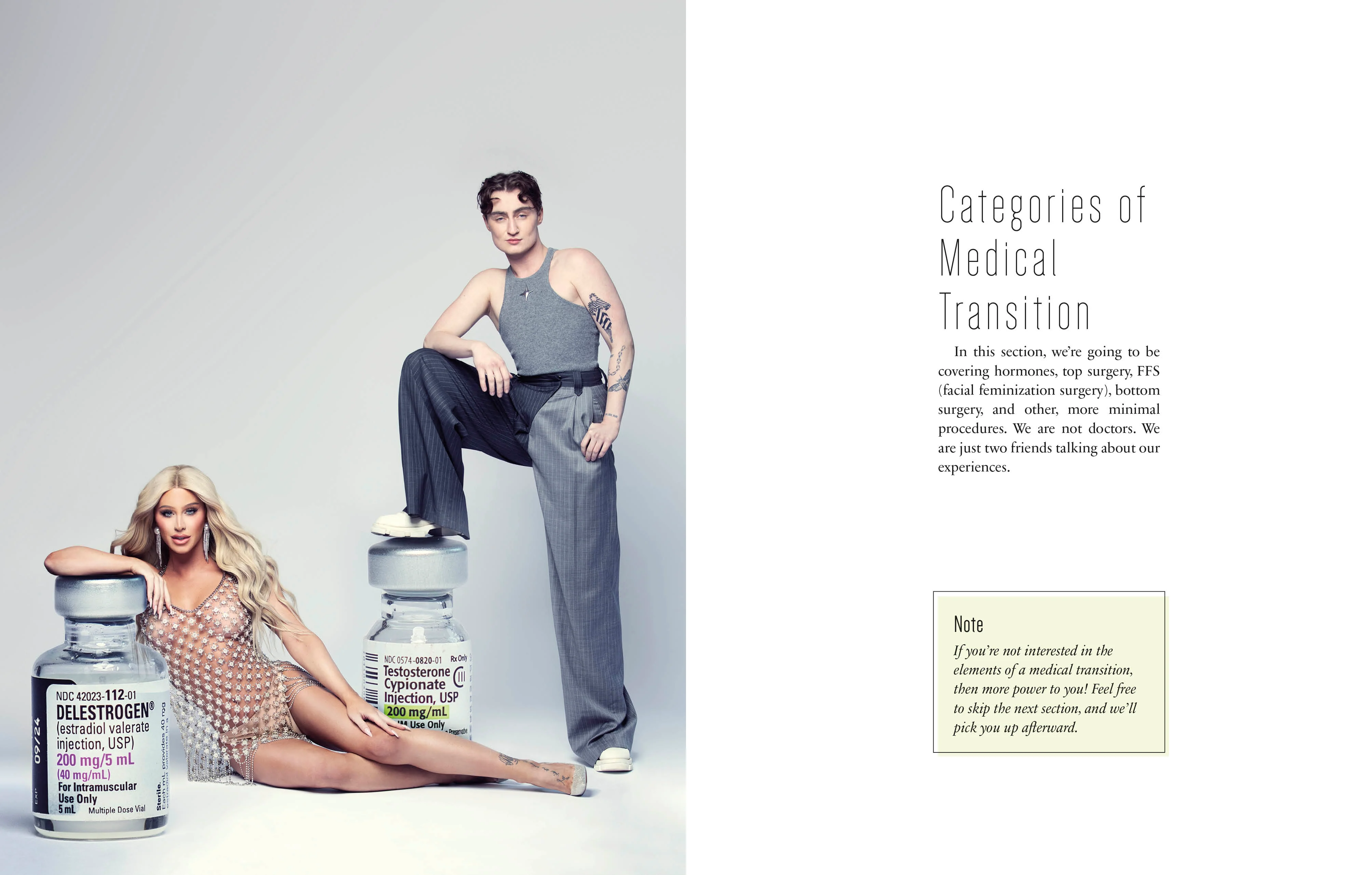 The T Guide - Image 4