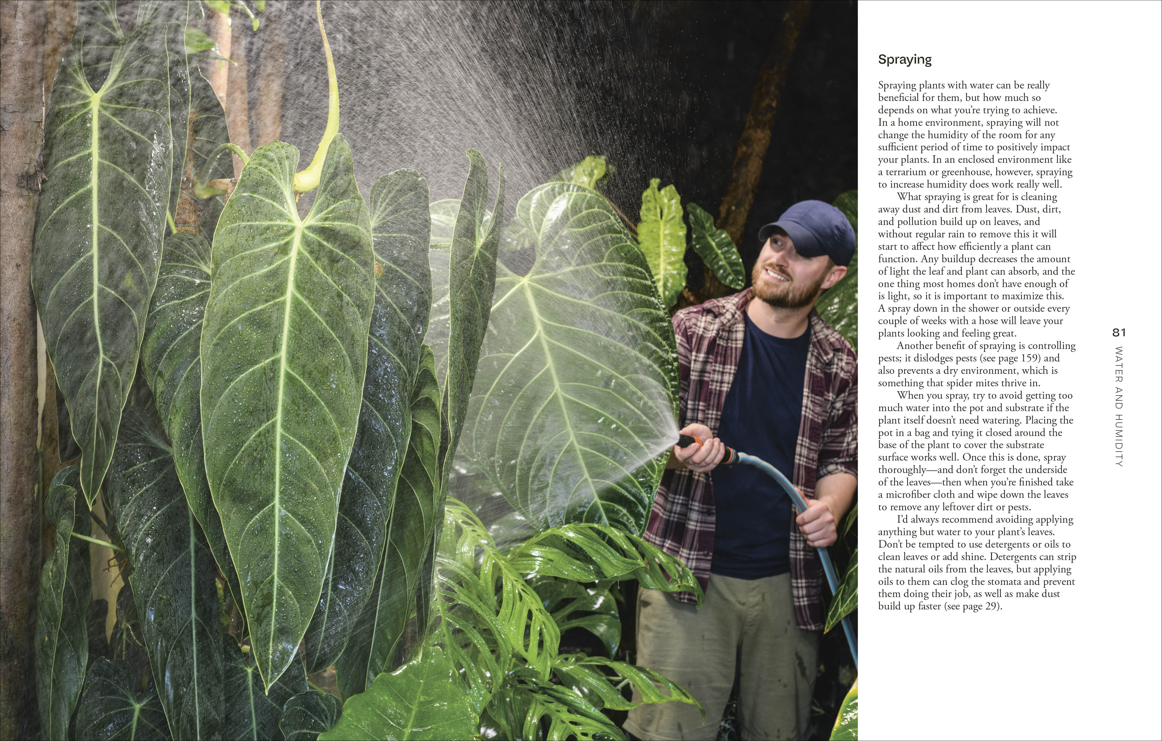 Not Another Jungle - Image 5