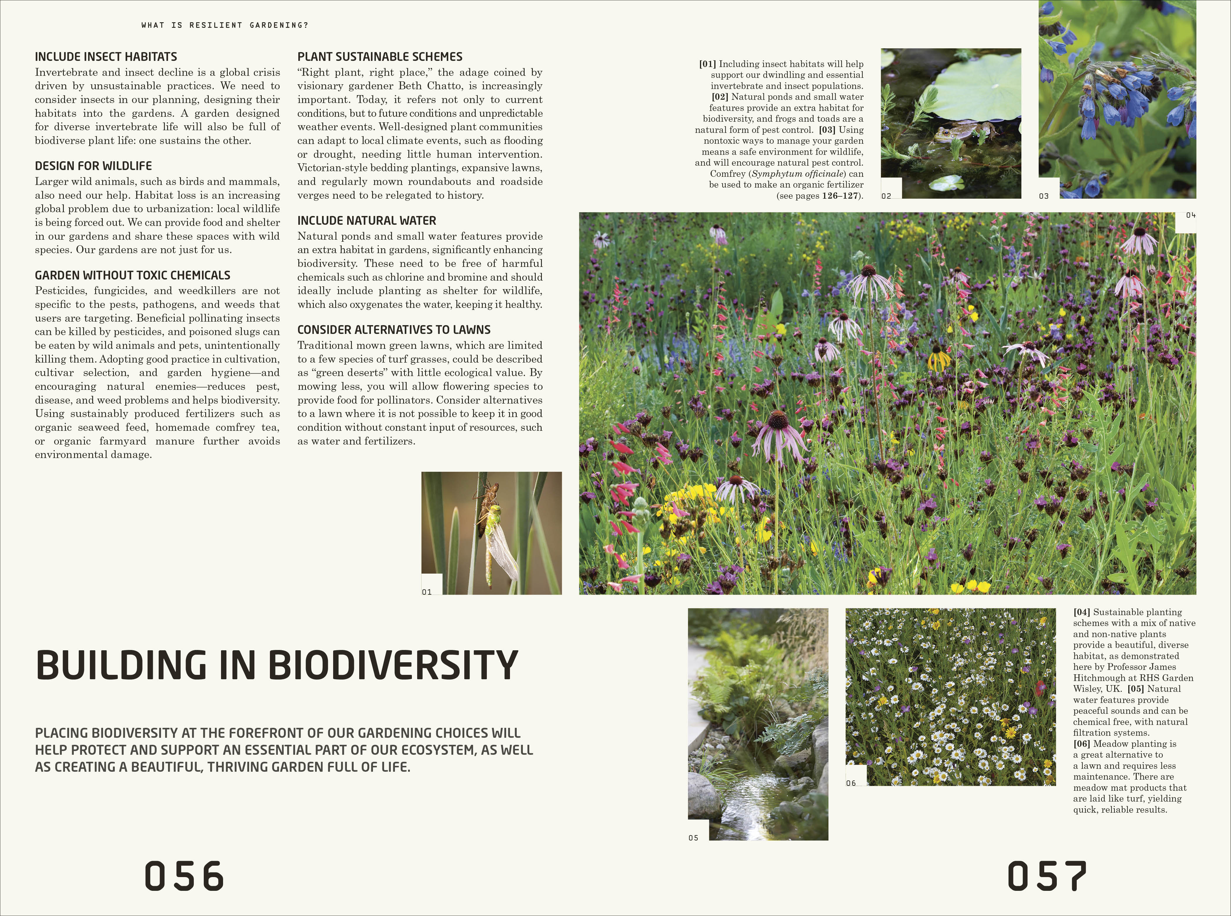 Resilient Garden - Image 3