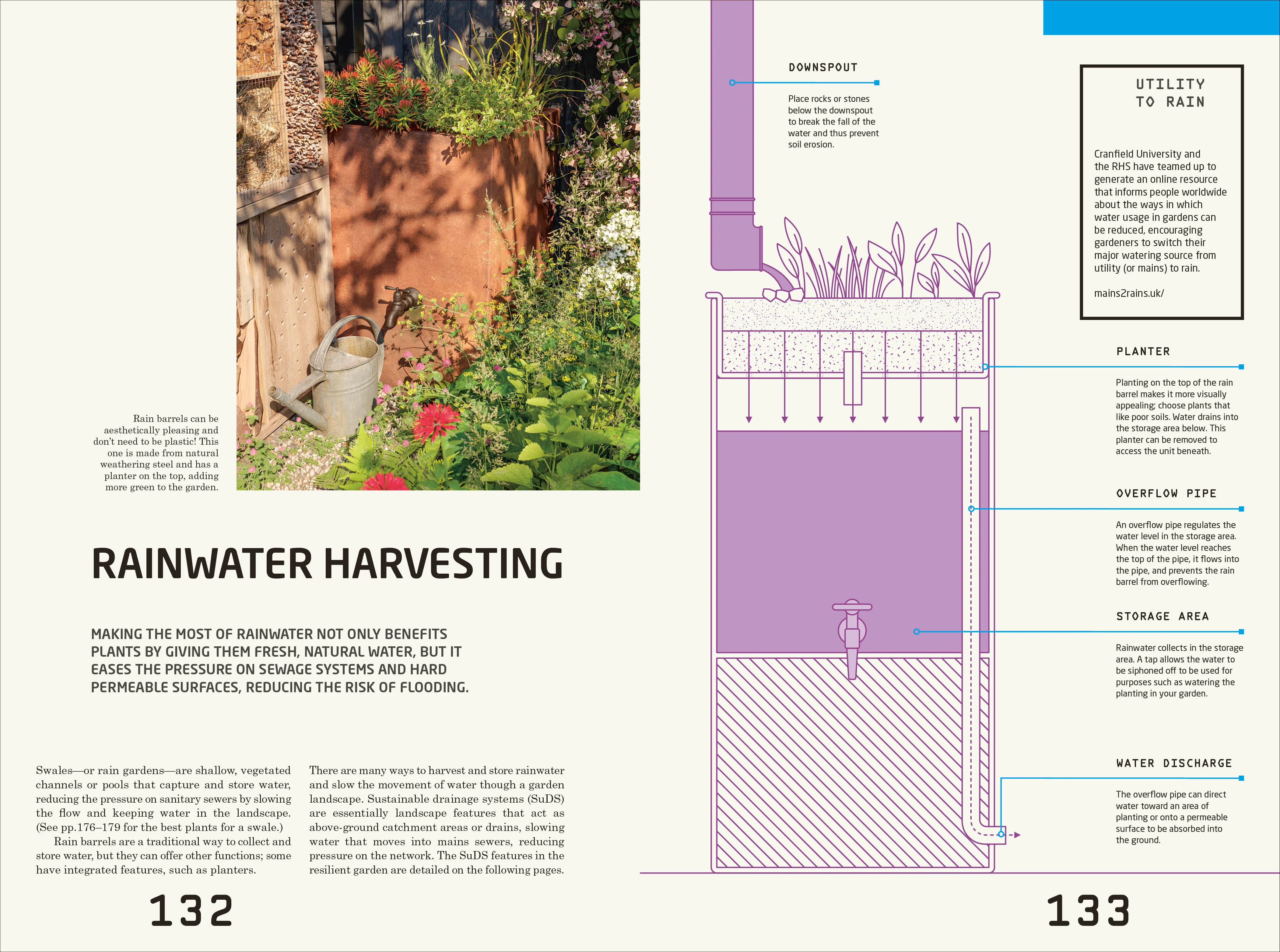 Resilient Garden - Image 5