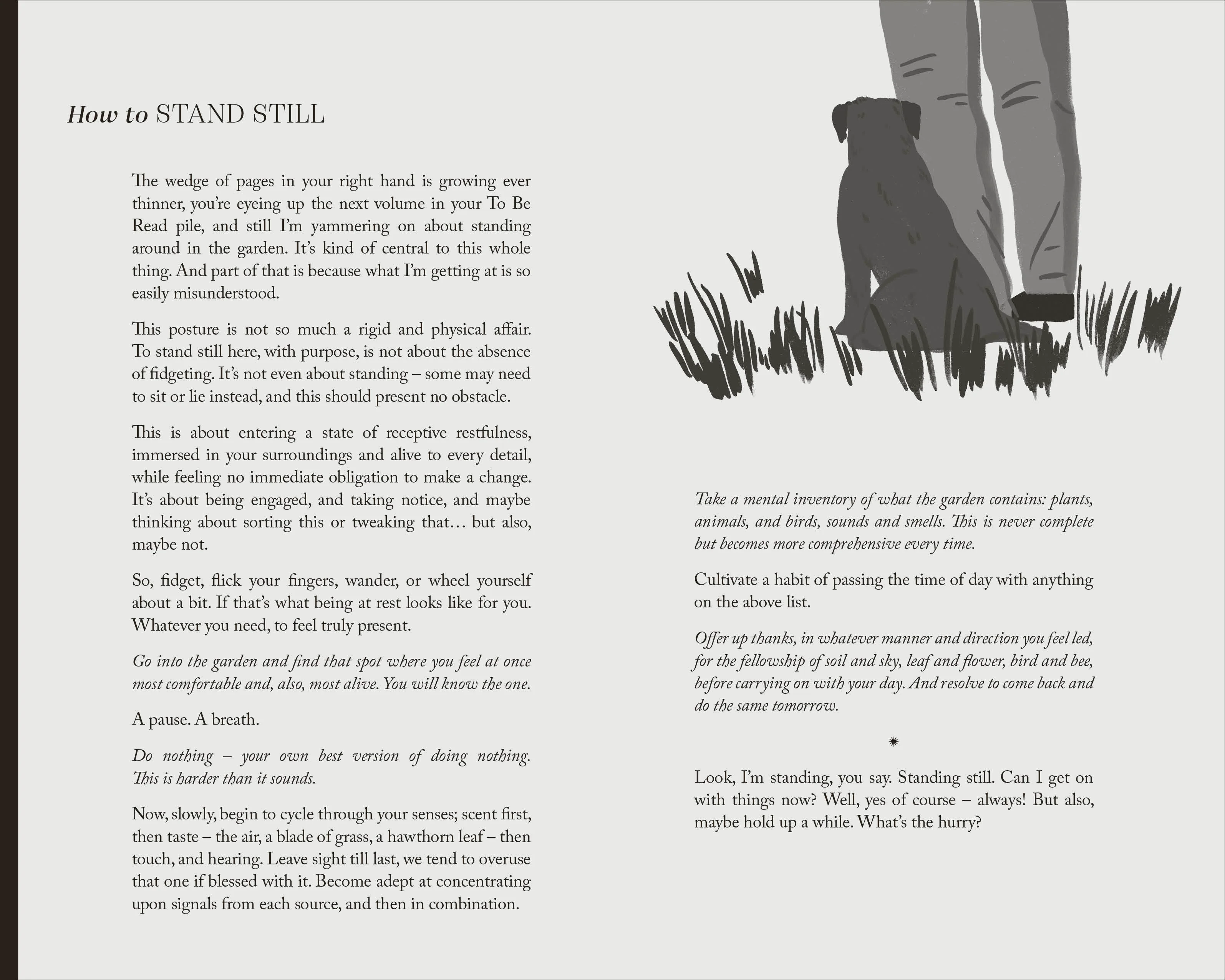 To Stand And Stare - Image 13