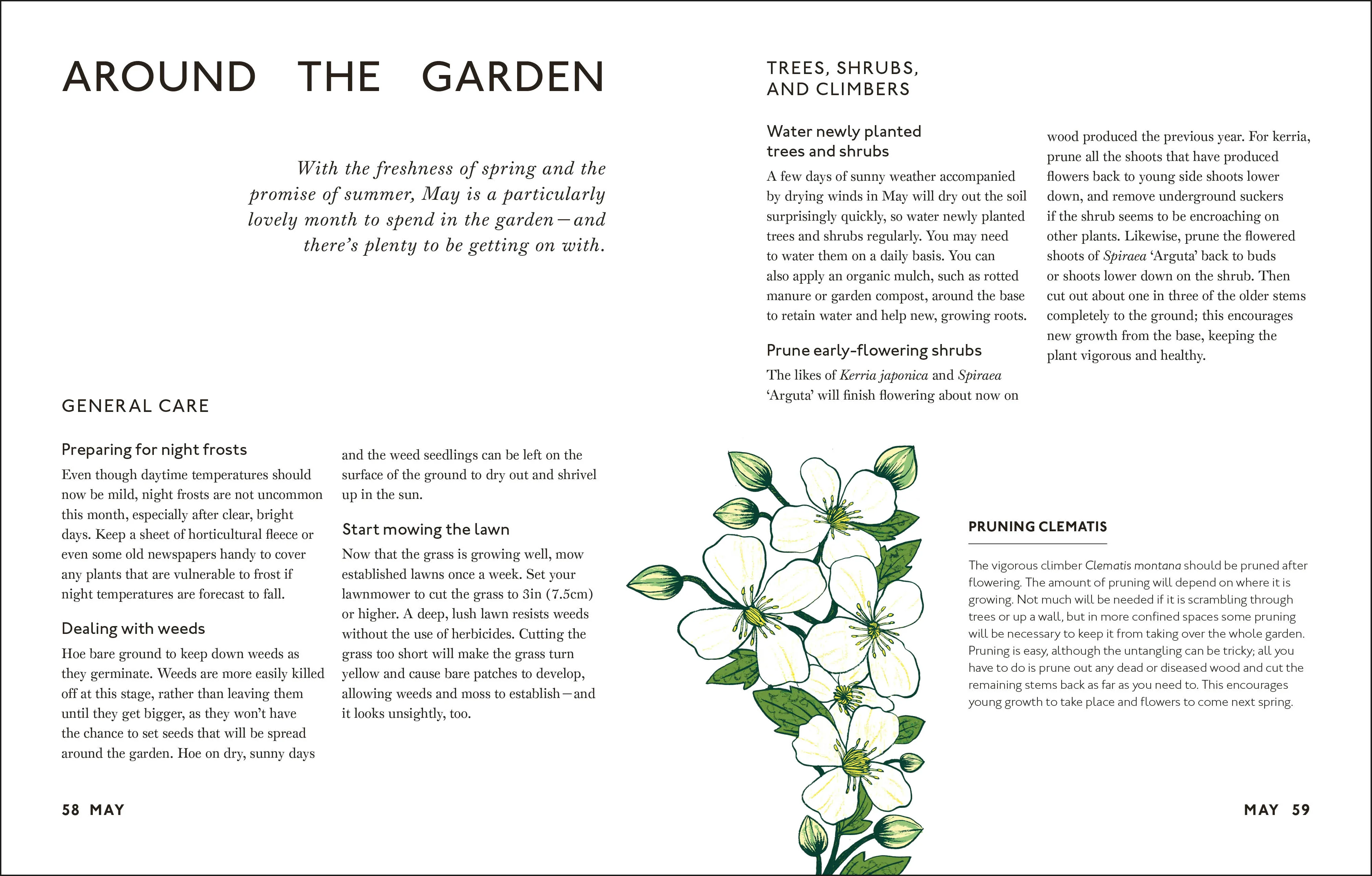 Your Gardening Year - Image 4