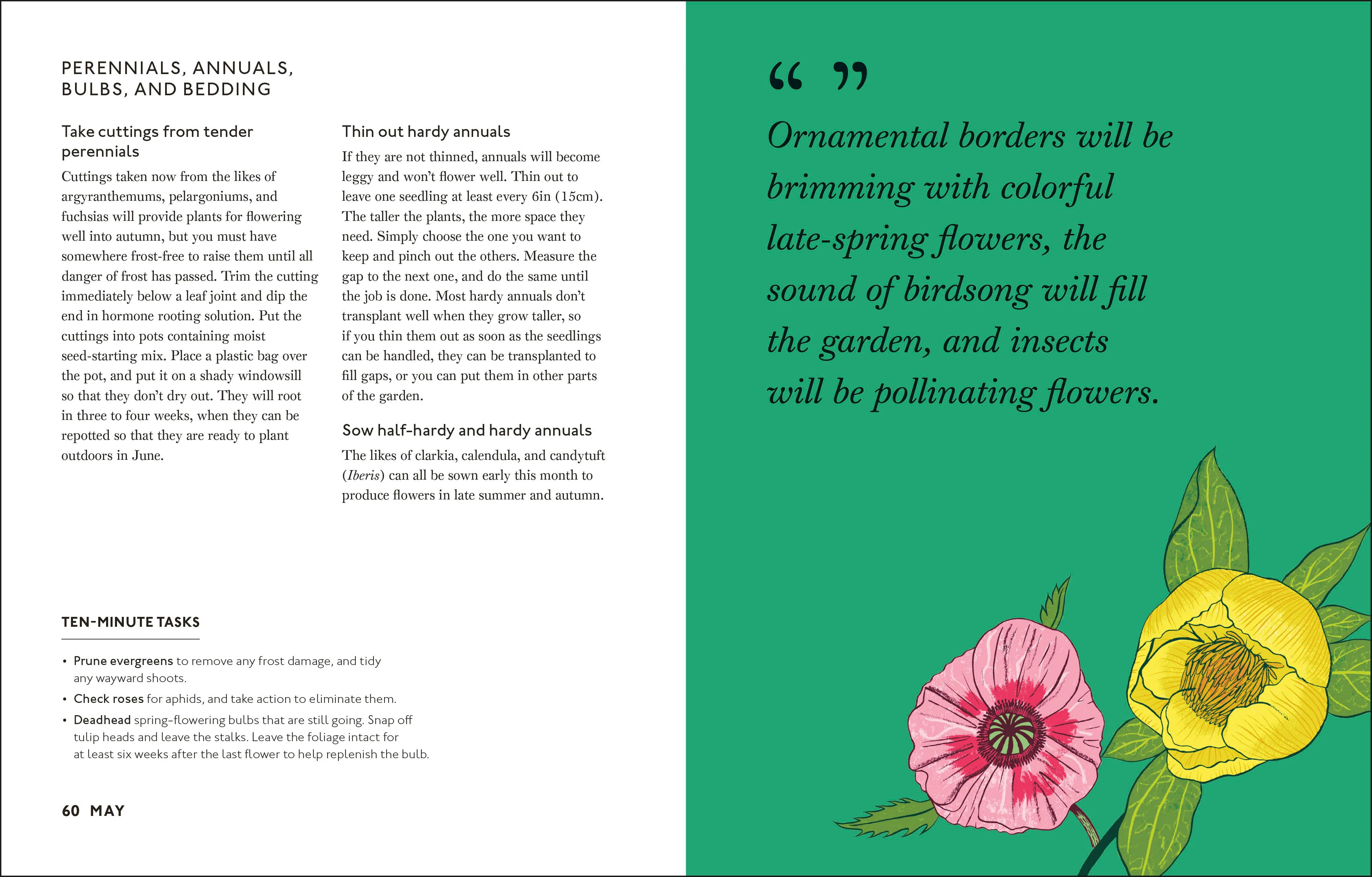 Your Gardening Year - Image 5