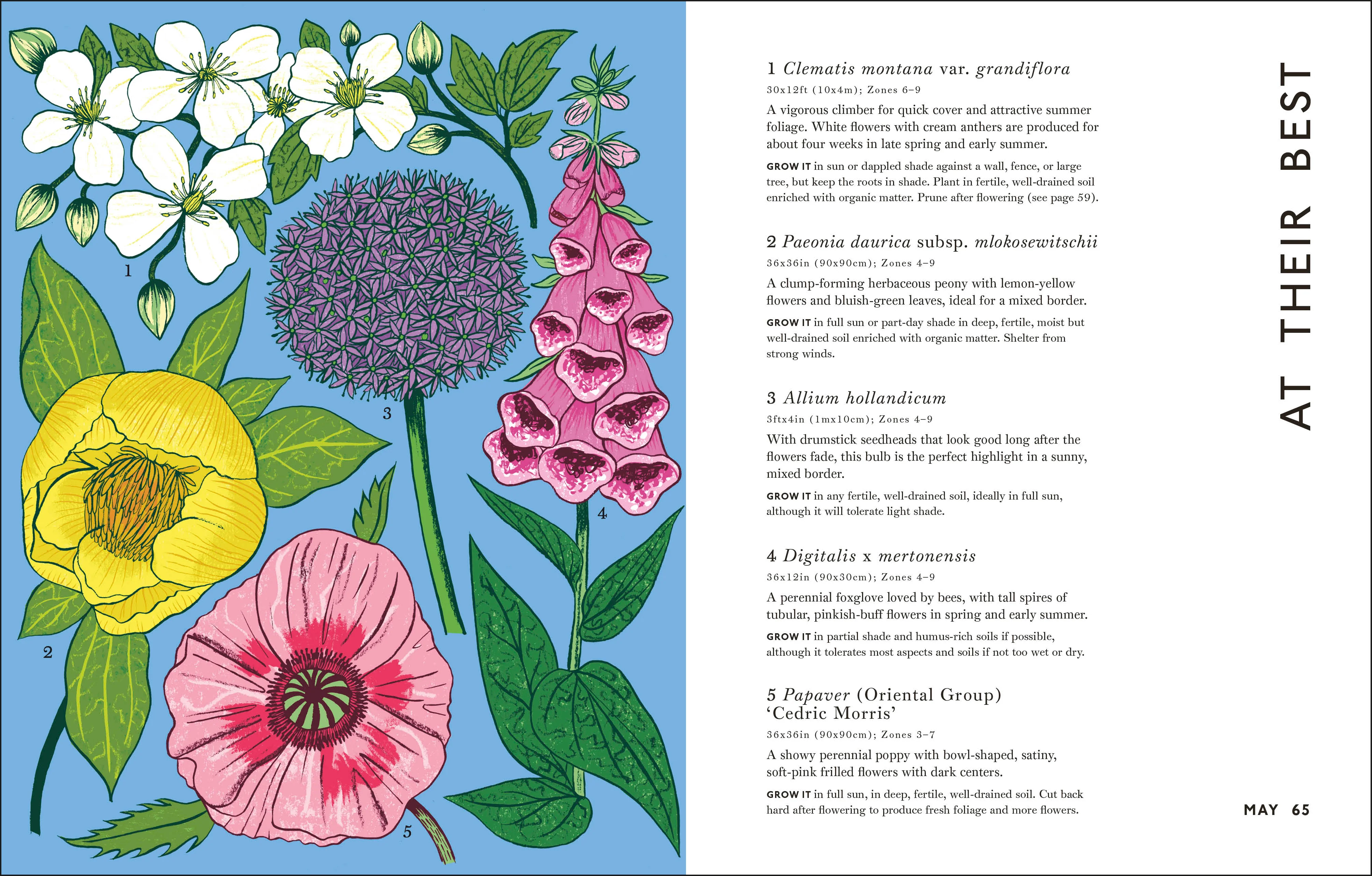 Your Gardening Year - Image 7