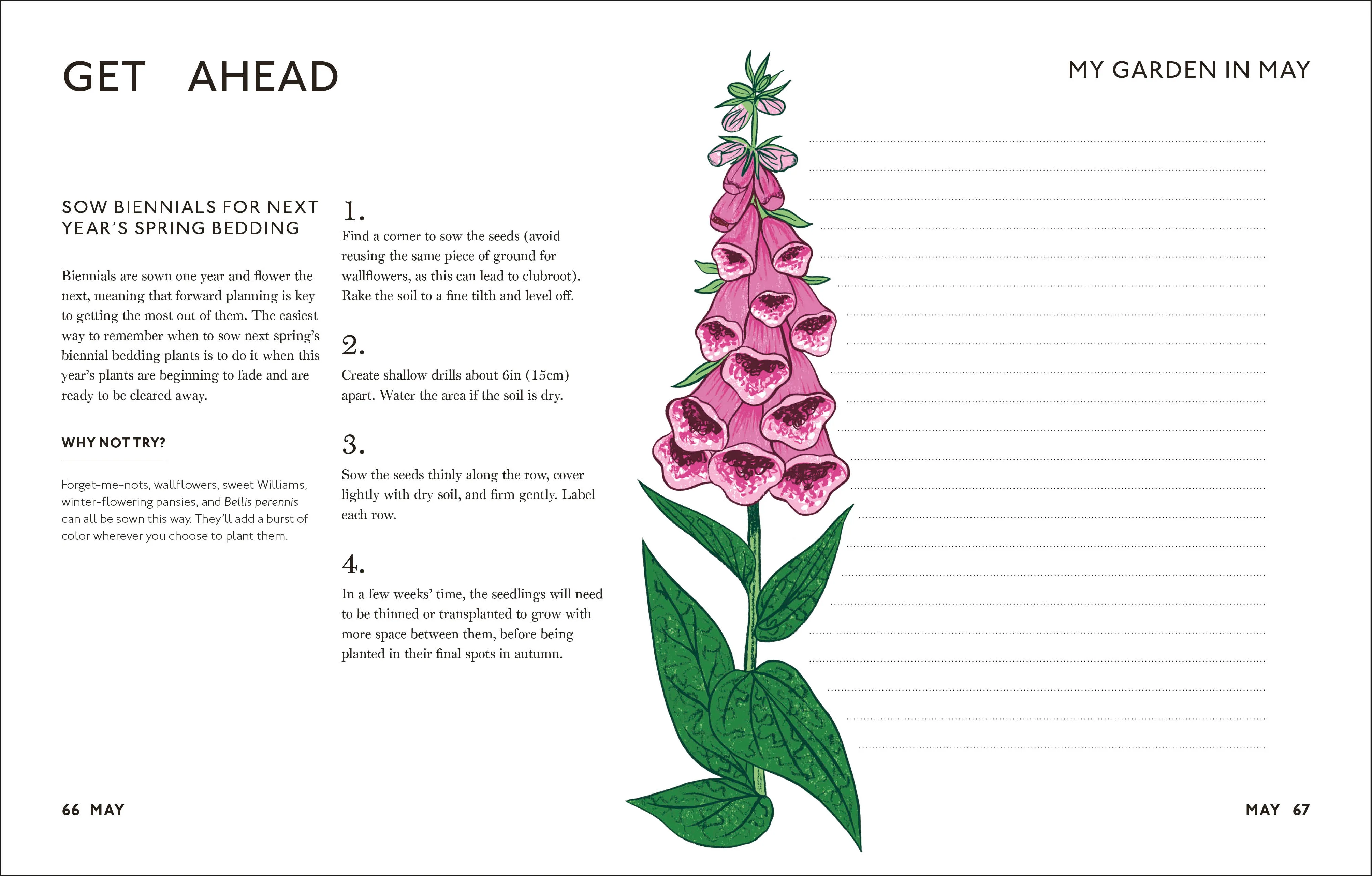 Your Gardening Year - Image 8
