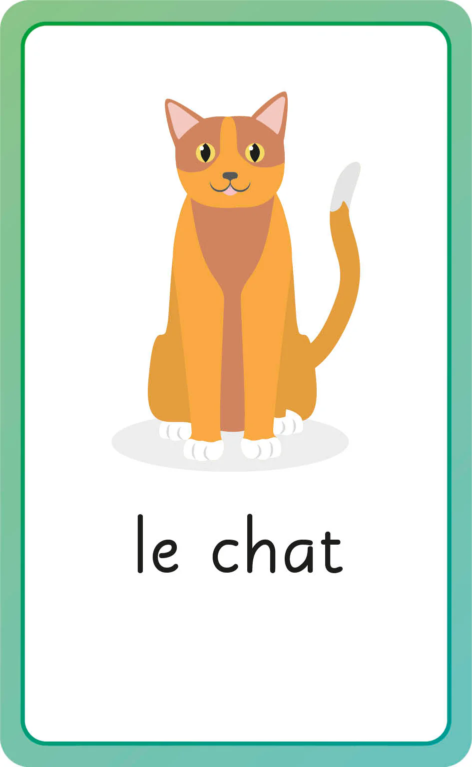 French for Everyone Junior First Words Flash Cards - Image 2