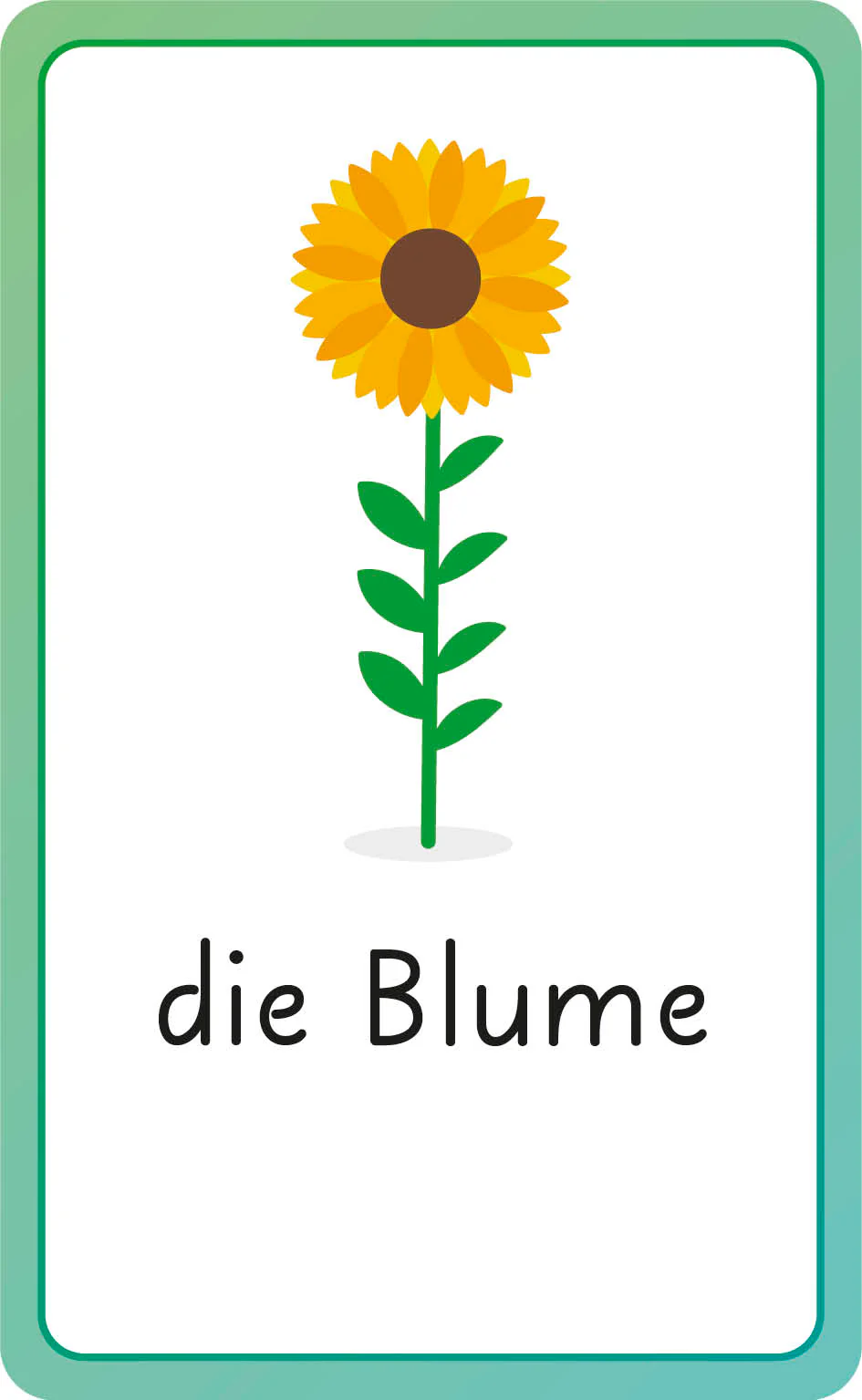 German for Everyone Junior First Words Flash Cards - Image 4