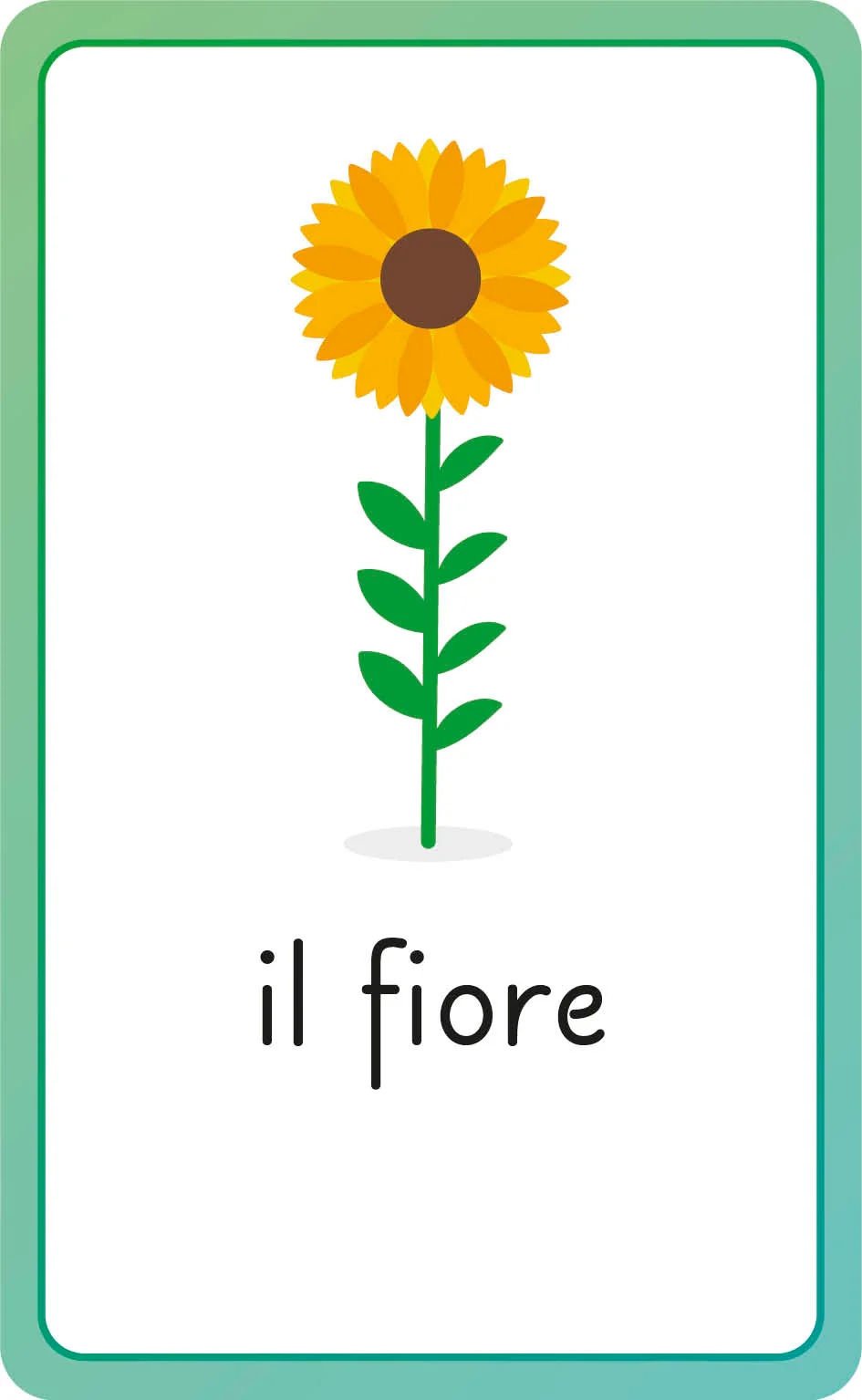 Italian for Everyone Junior First Words Flash Cards - Image 14