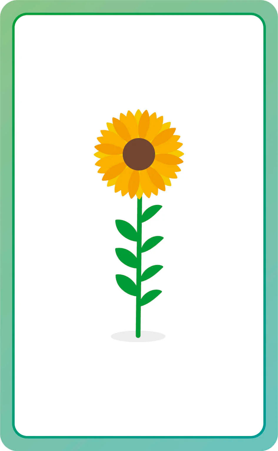 Italian for Everyone Junior First Words Flash Cards - Image 5